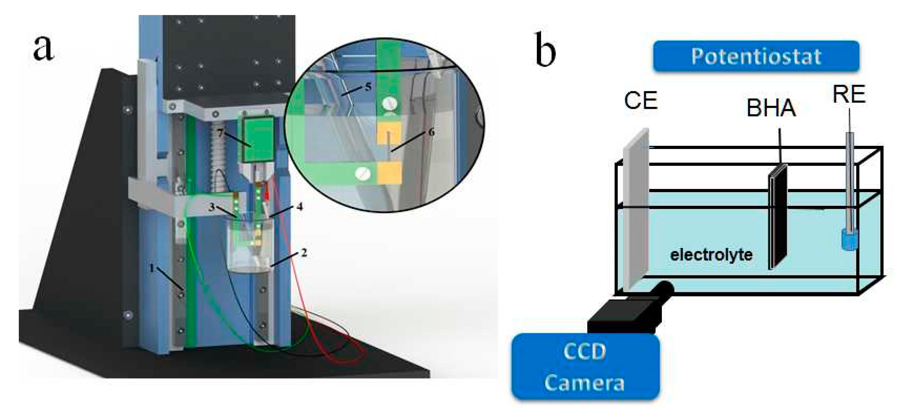 Polymers 13 00861 g002