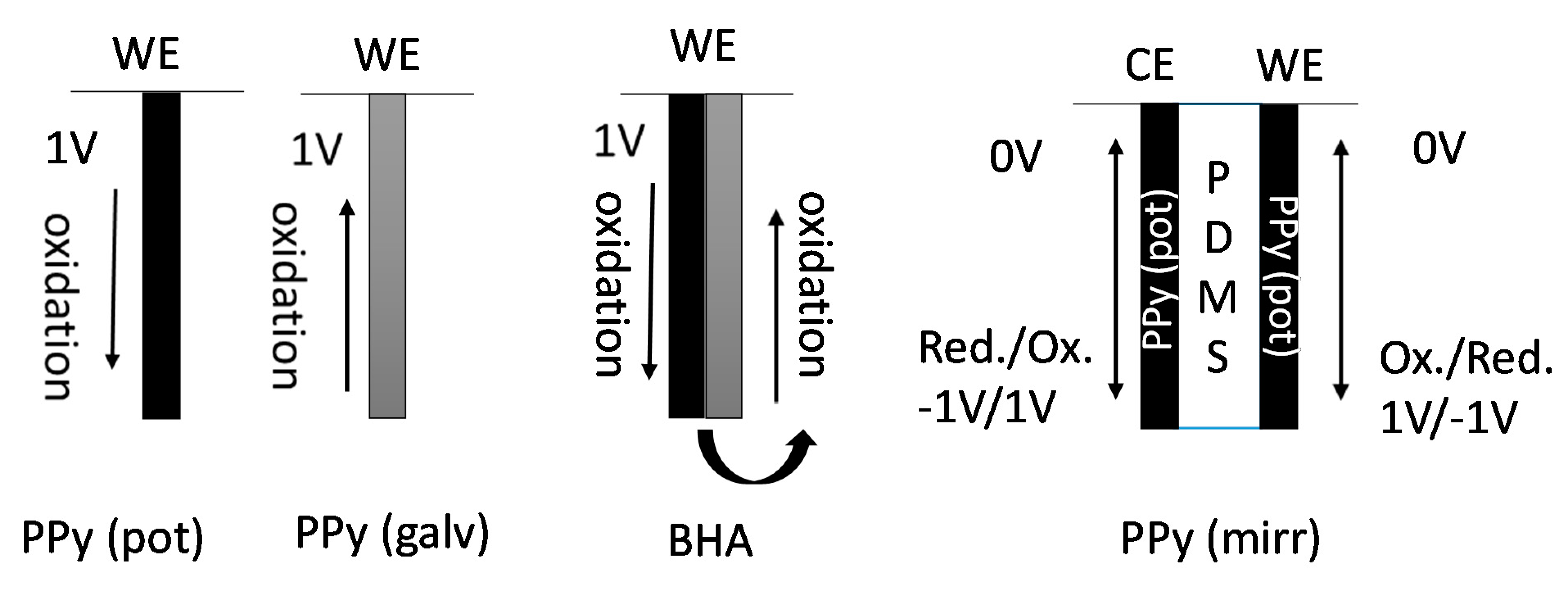 Polymers 13 00861 g003