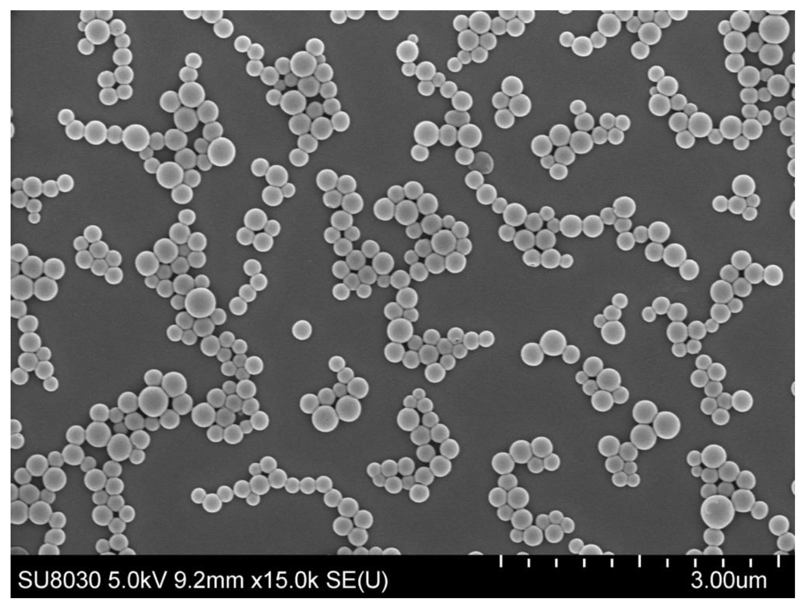 Polymers 13 00862 g002