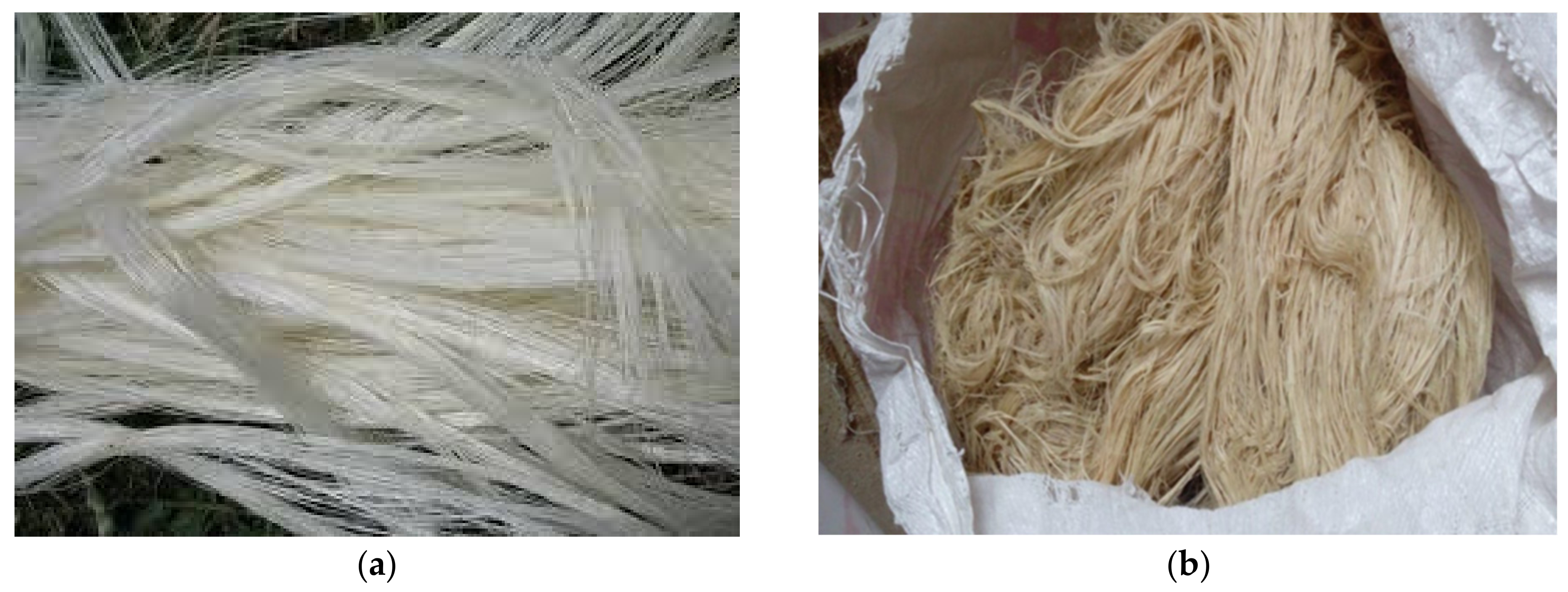 Polymers 13 00864 g001