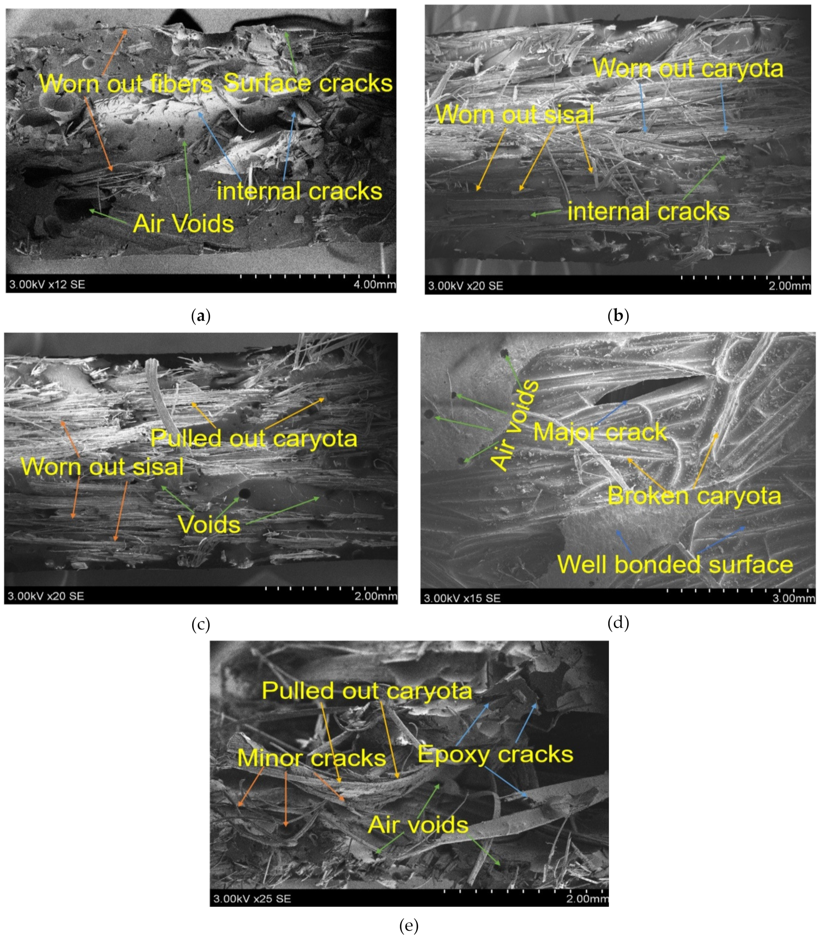 Polymers 13 00864 g016
