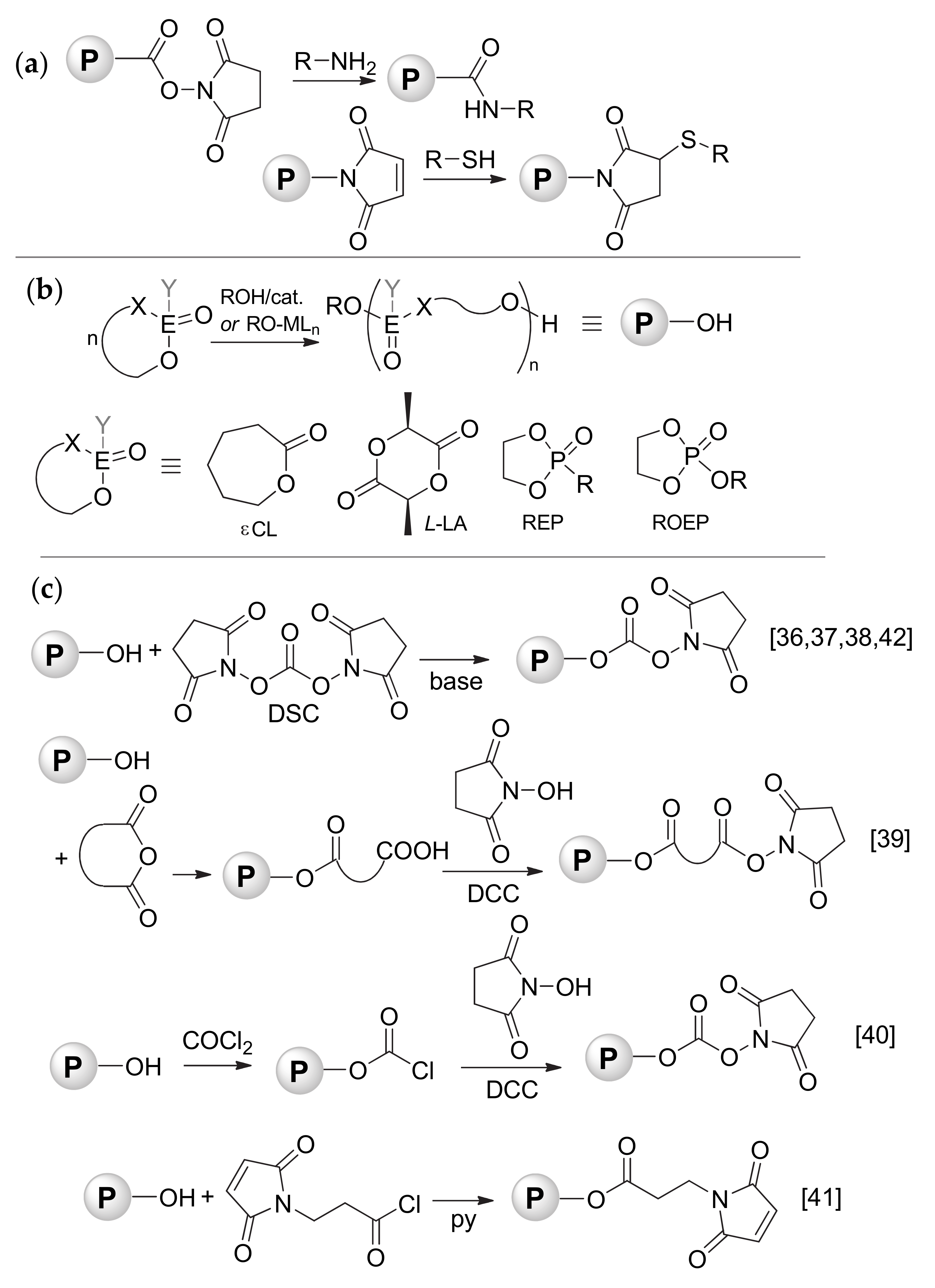Polymers 13 00868 sch001