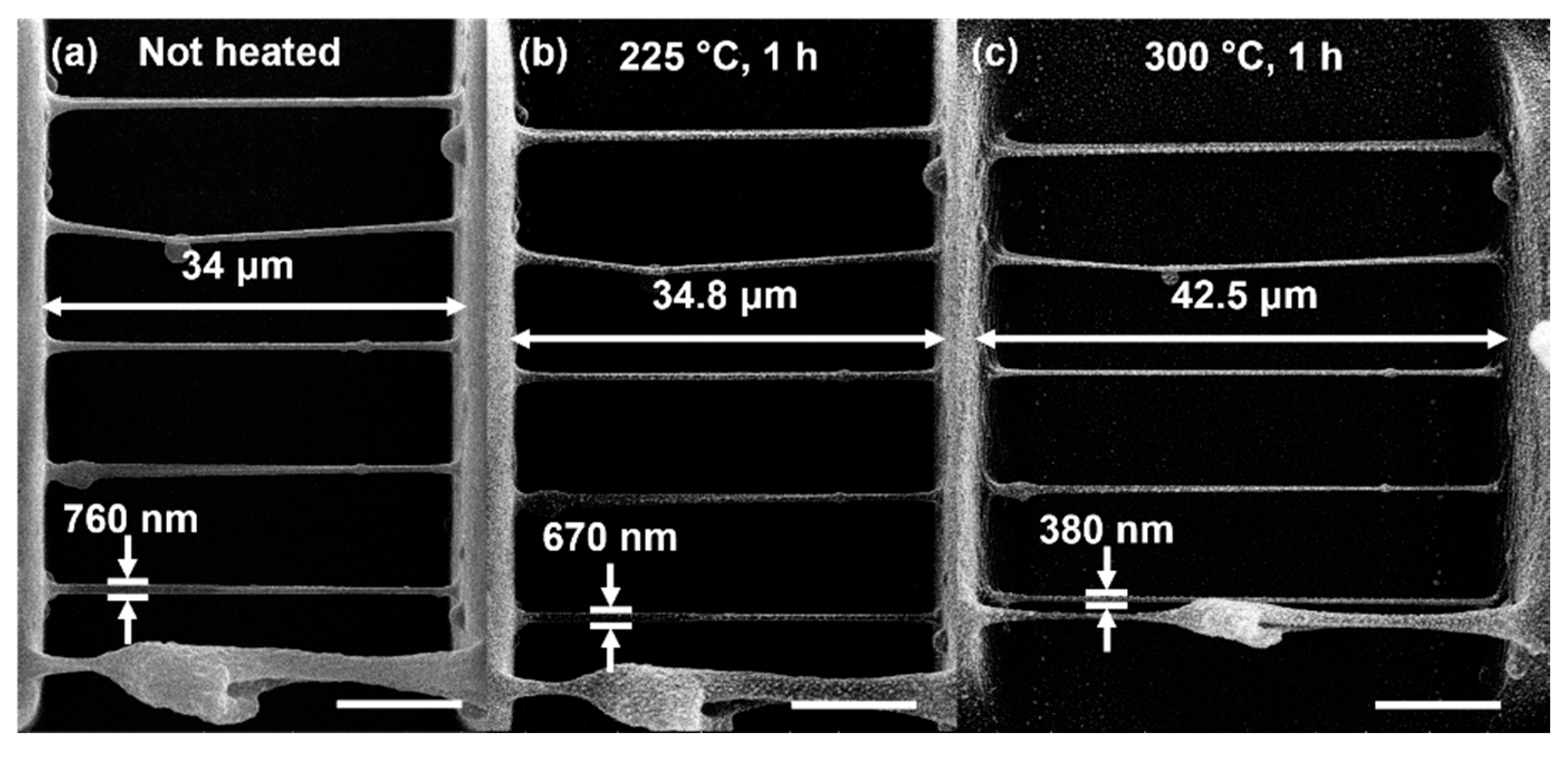 Polymers 13 00872 g007