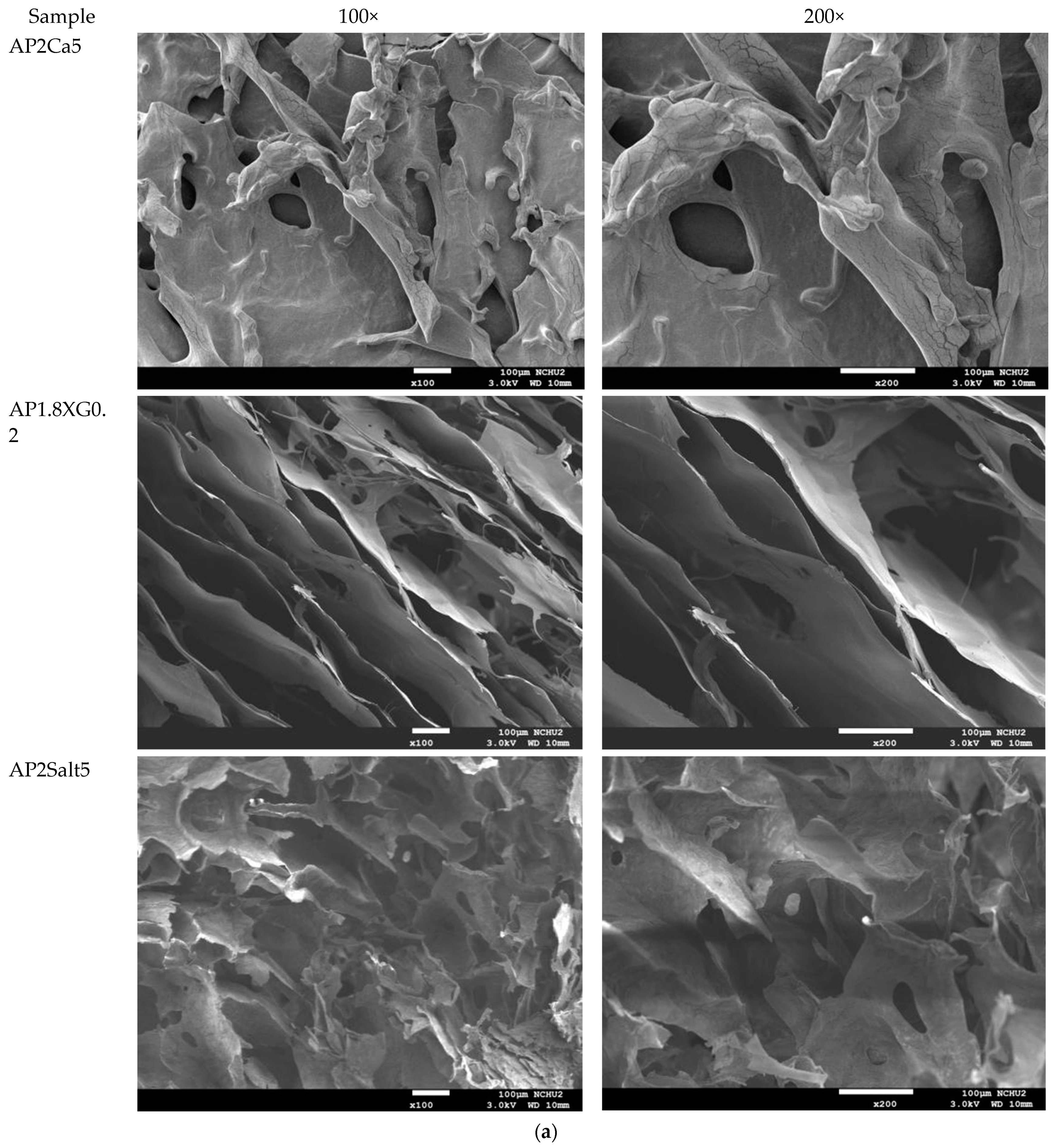 Polymers 13 00873 g009b Polymers 13 00873 g009b