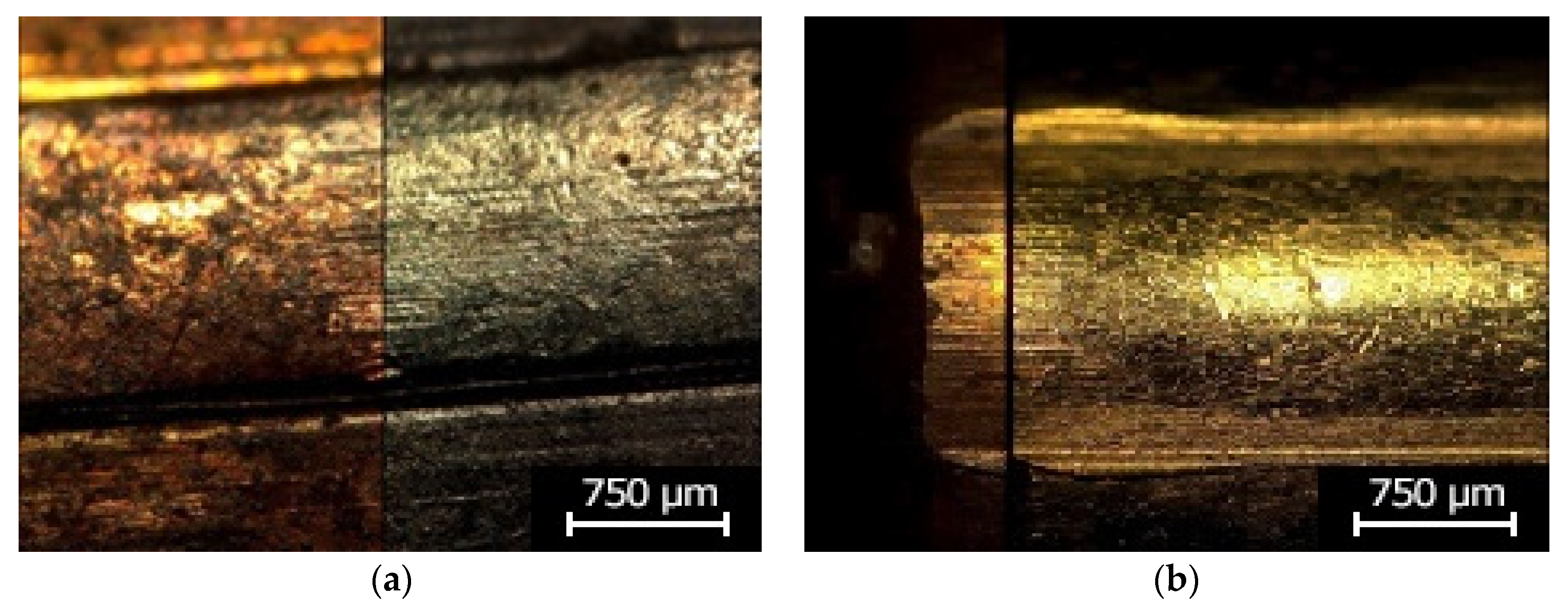 Polymers 13 00874 g009 550
