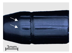 Polymers 13 00874 i001