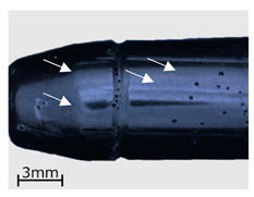 Polymers 13 00874 i003