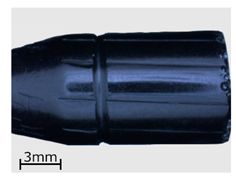 Polymers 13 00874 i005