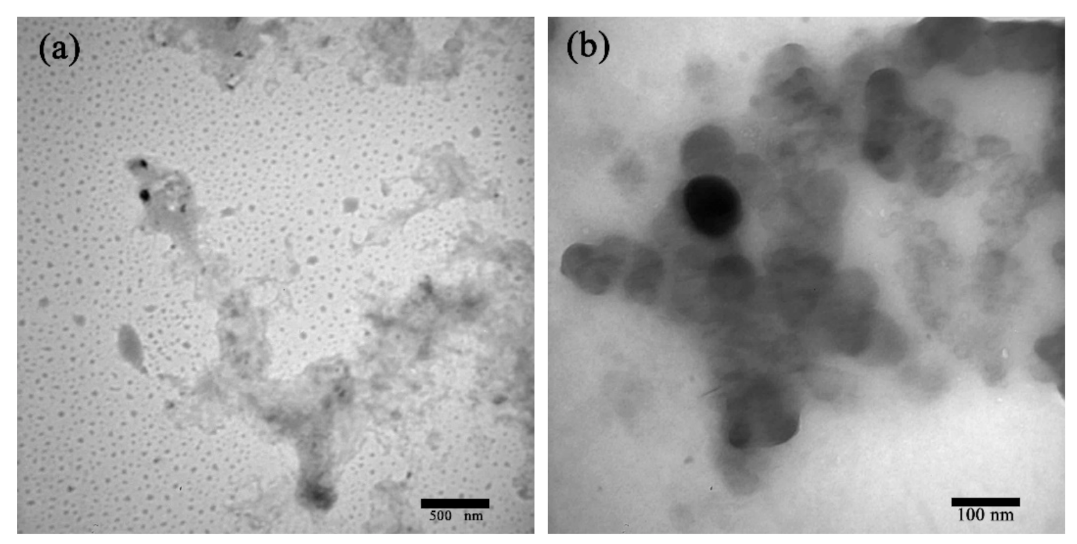 Polymers 13 00876 g003 Polymers 13 00876 g003