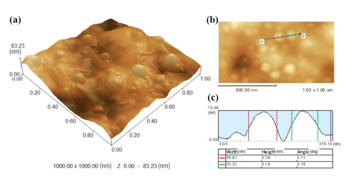 Polymers 13 00876 g004 Polymers 13 00876 g004