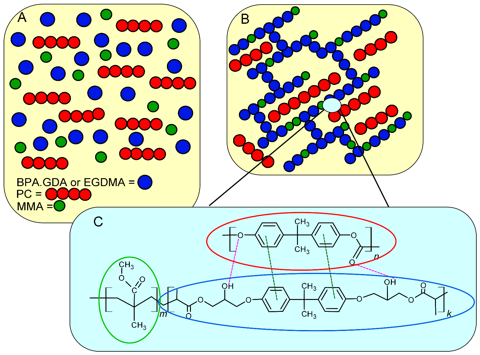Polymers 13 00878 g002