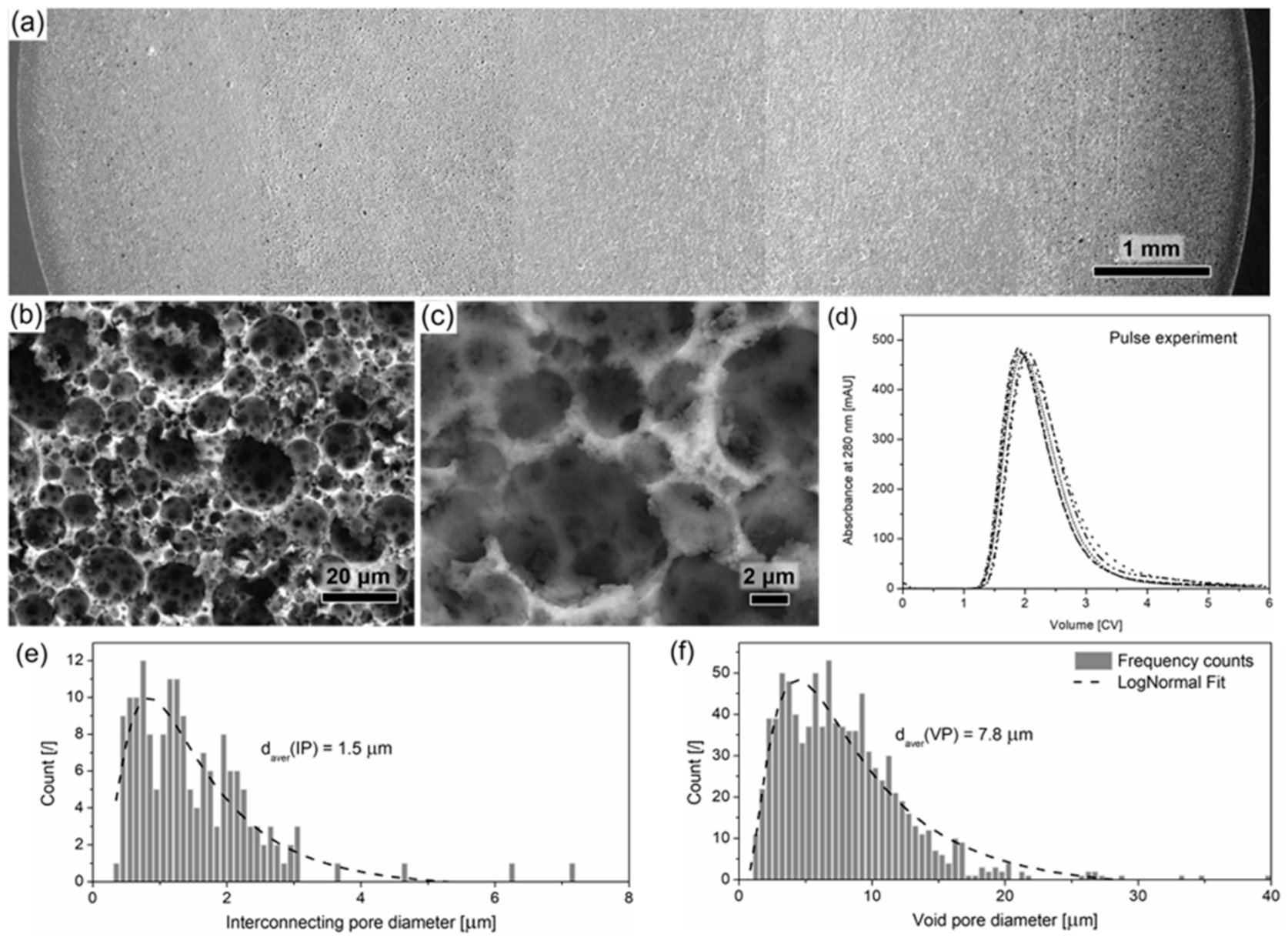 Polymers 13 00880 g001 Polymers 13 00880 g001