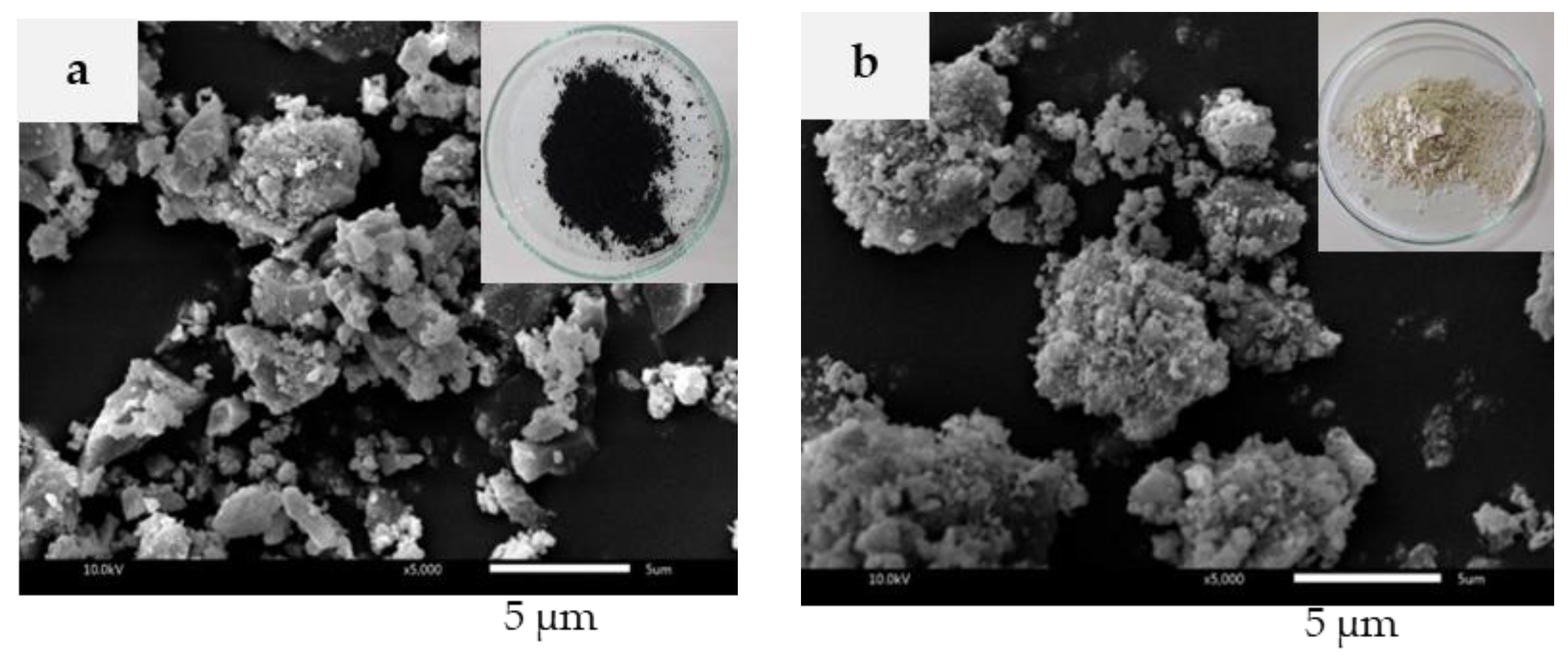 Polymers 13 00882 g001 Polymers 13 00882 g001