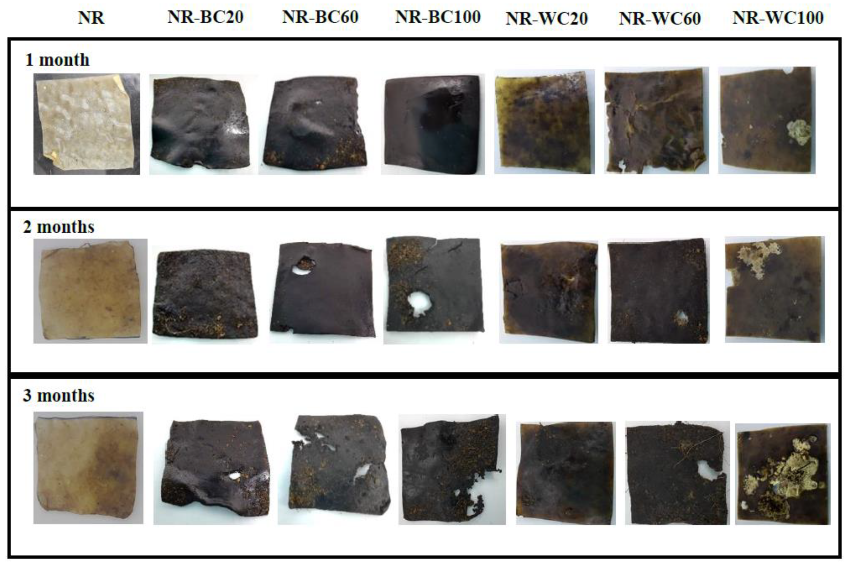 Polymers 13 00882 g011 Polymers 13 00882 g011