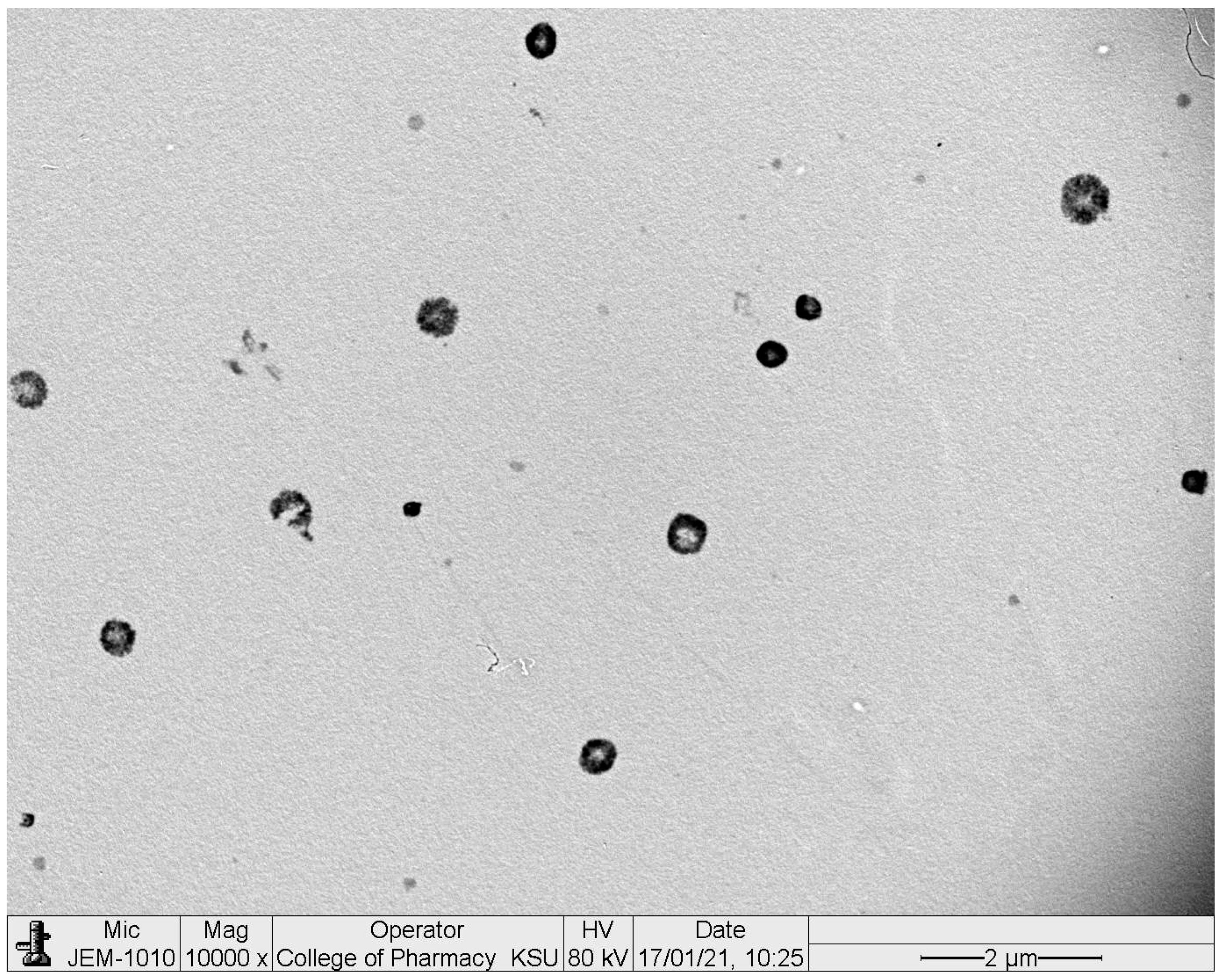 Polymers 13 00884 g002 Polymers 13 00884 g002