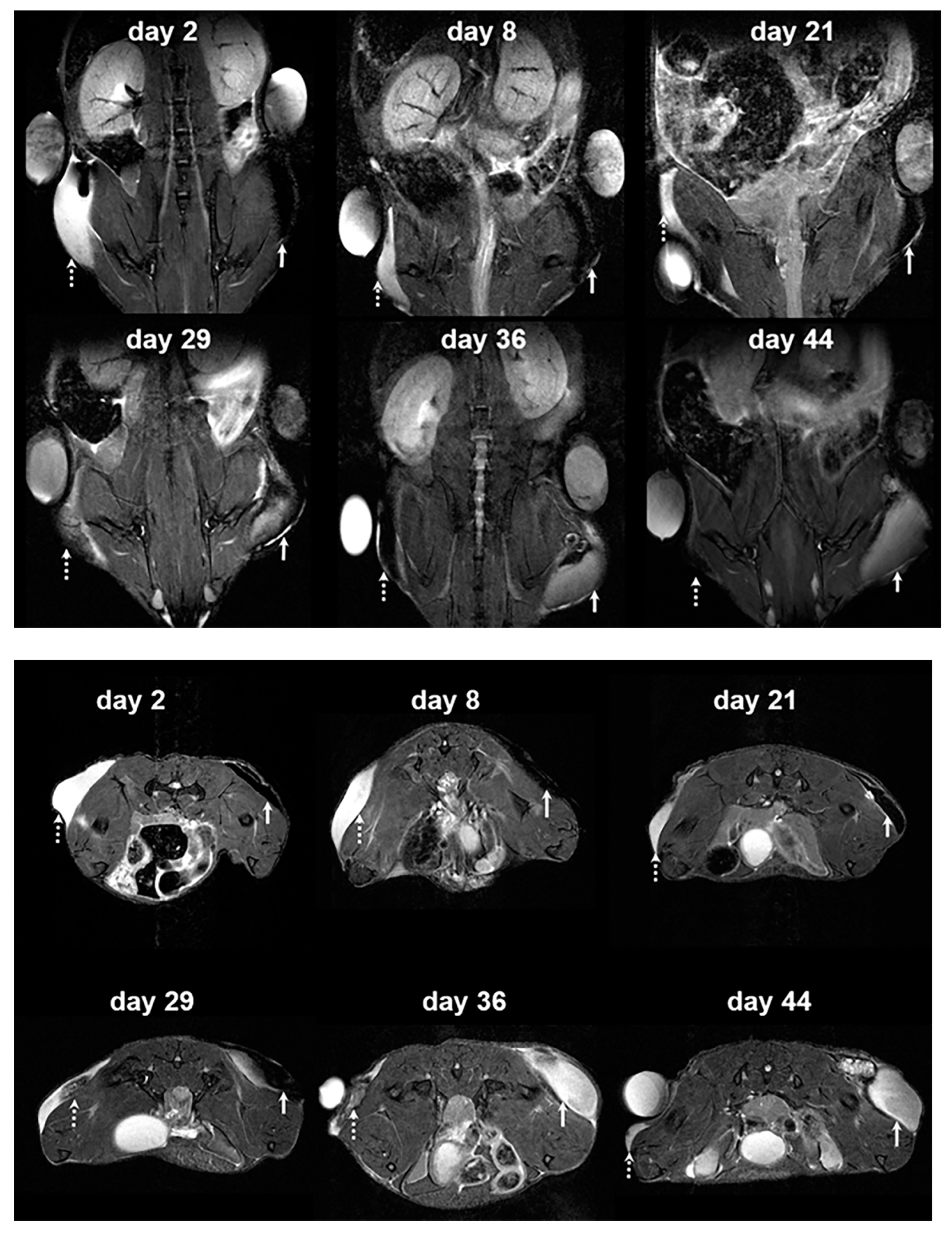 Polymers 13 00885 g003