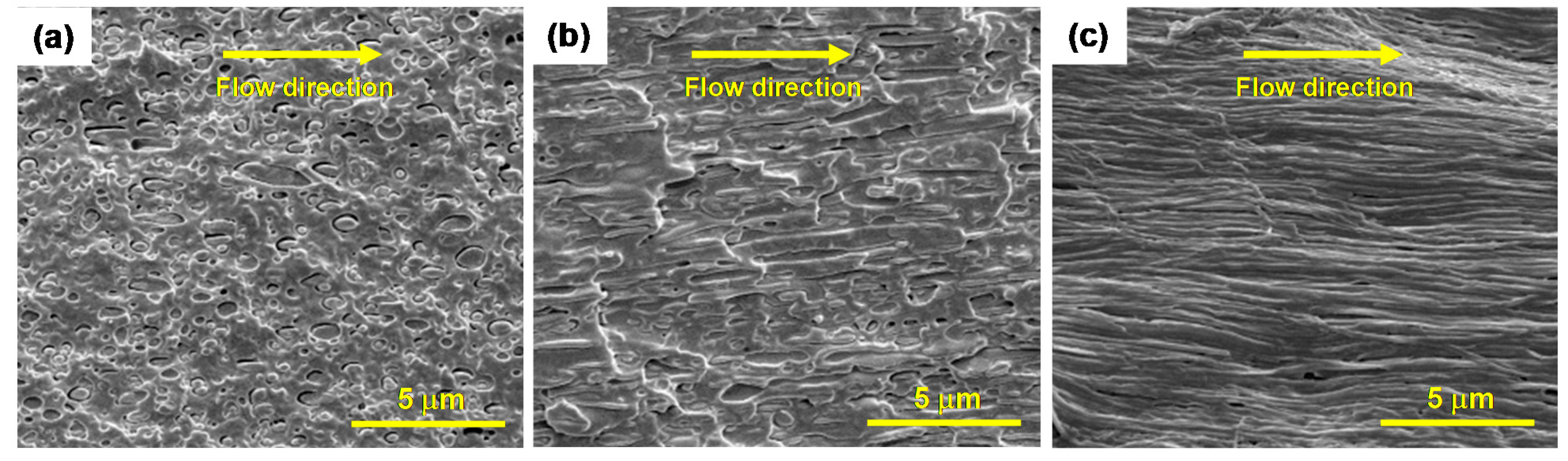 Polymers 13 00887 g005