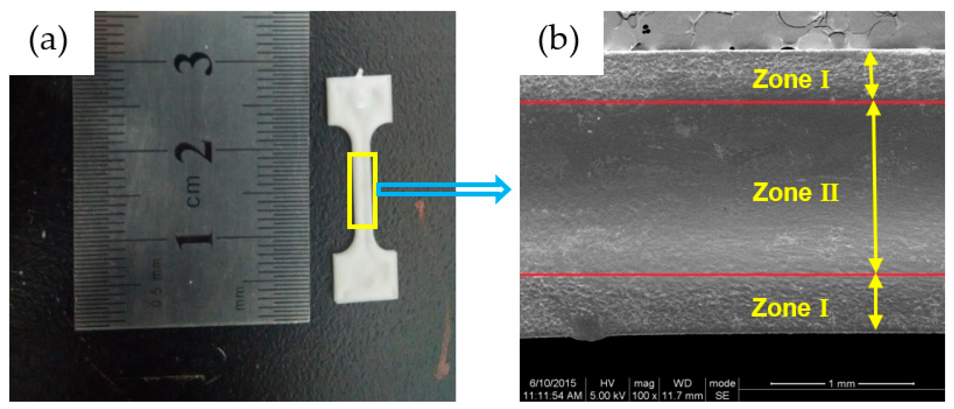 Polymers 13 00887 g011