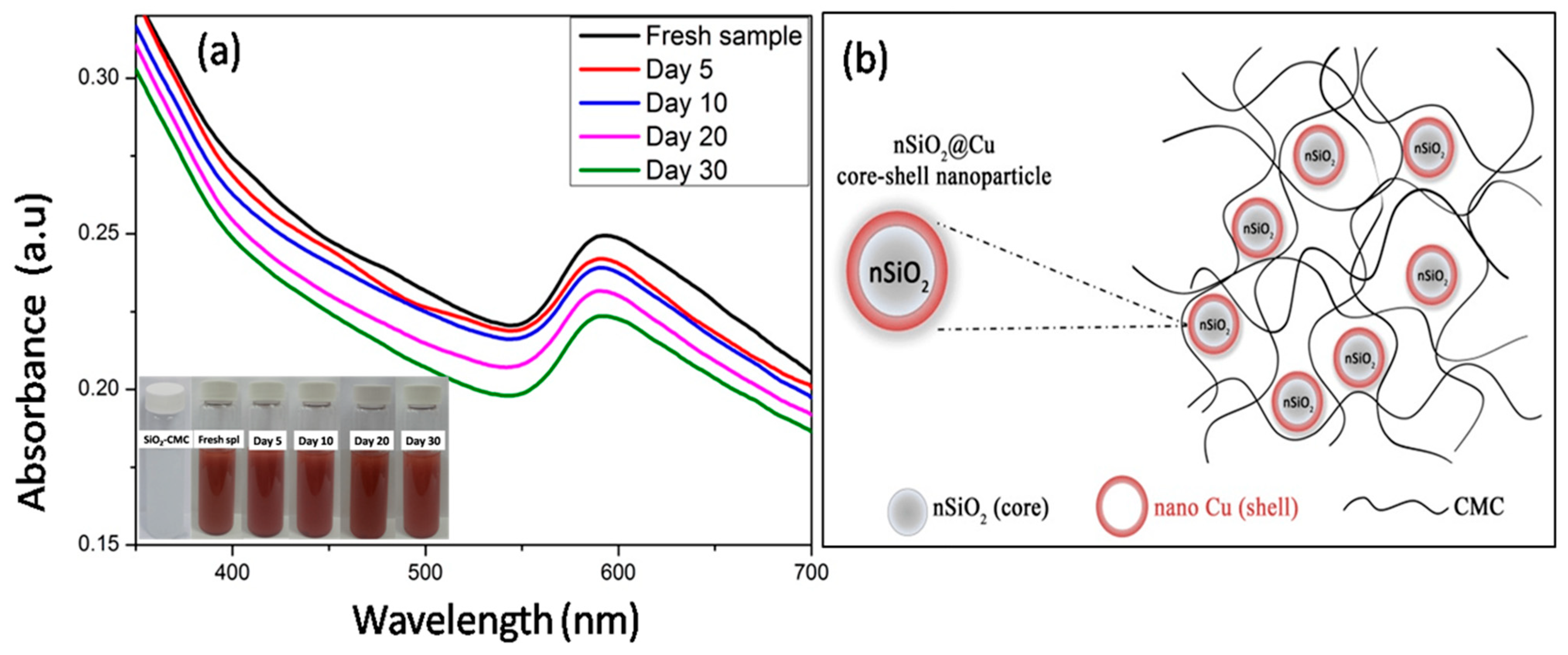 Polymers 13 00888 g001 Polymers 13 00888 g001
