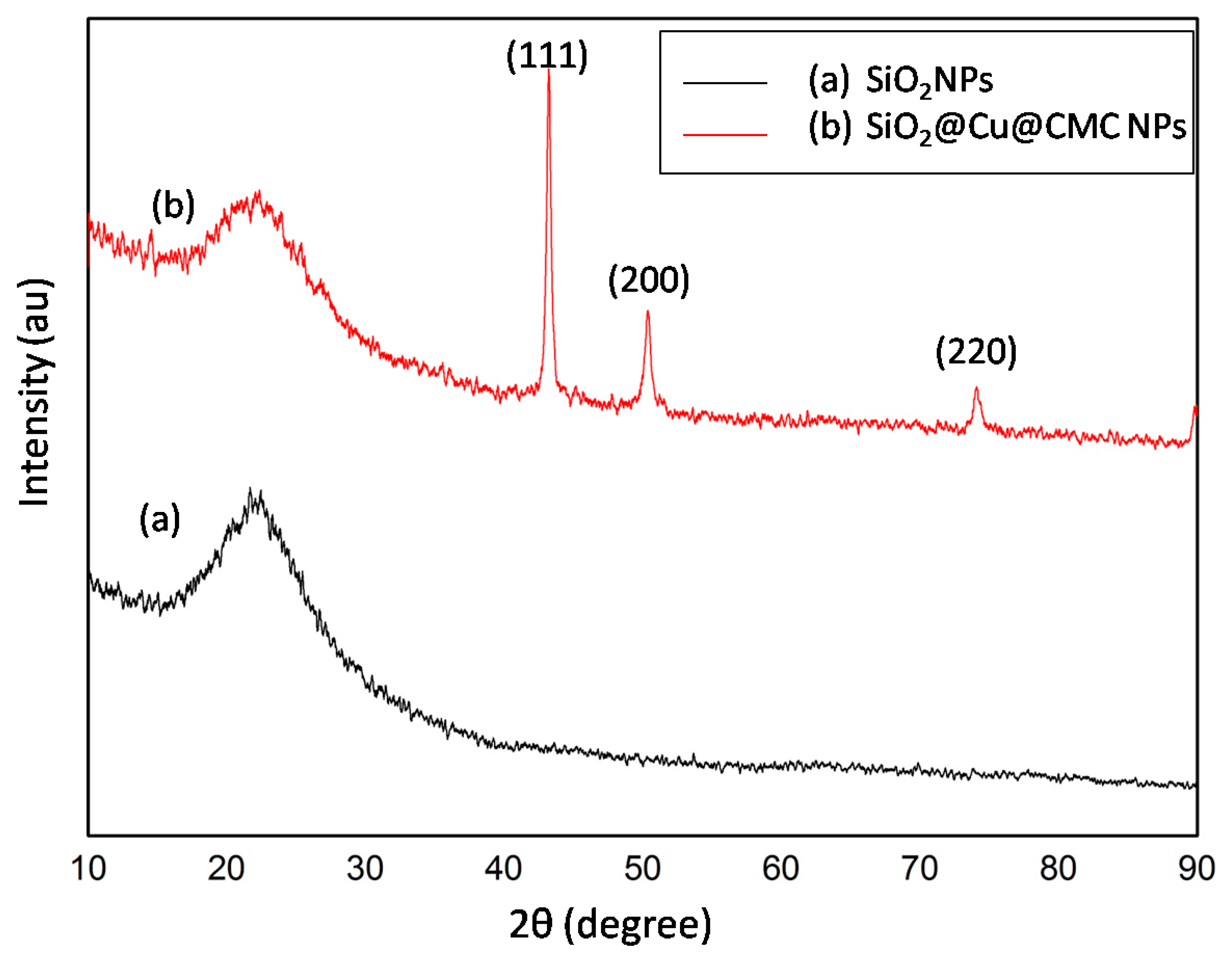 Polymers 13 00888 g002 Polymers 13 00888 g002