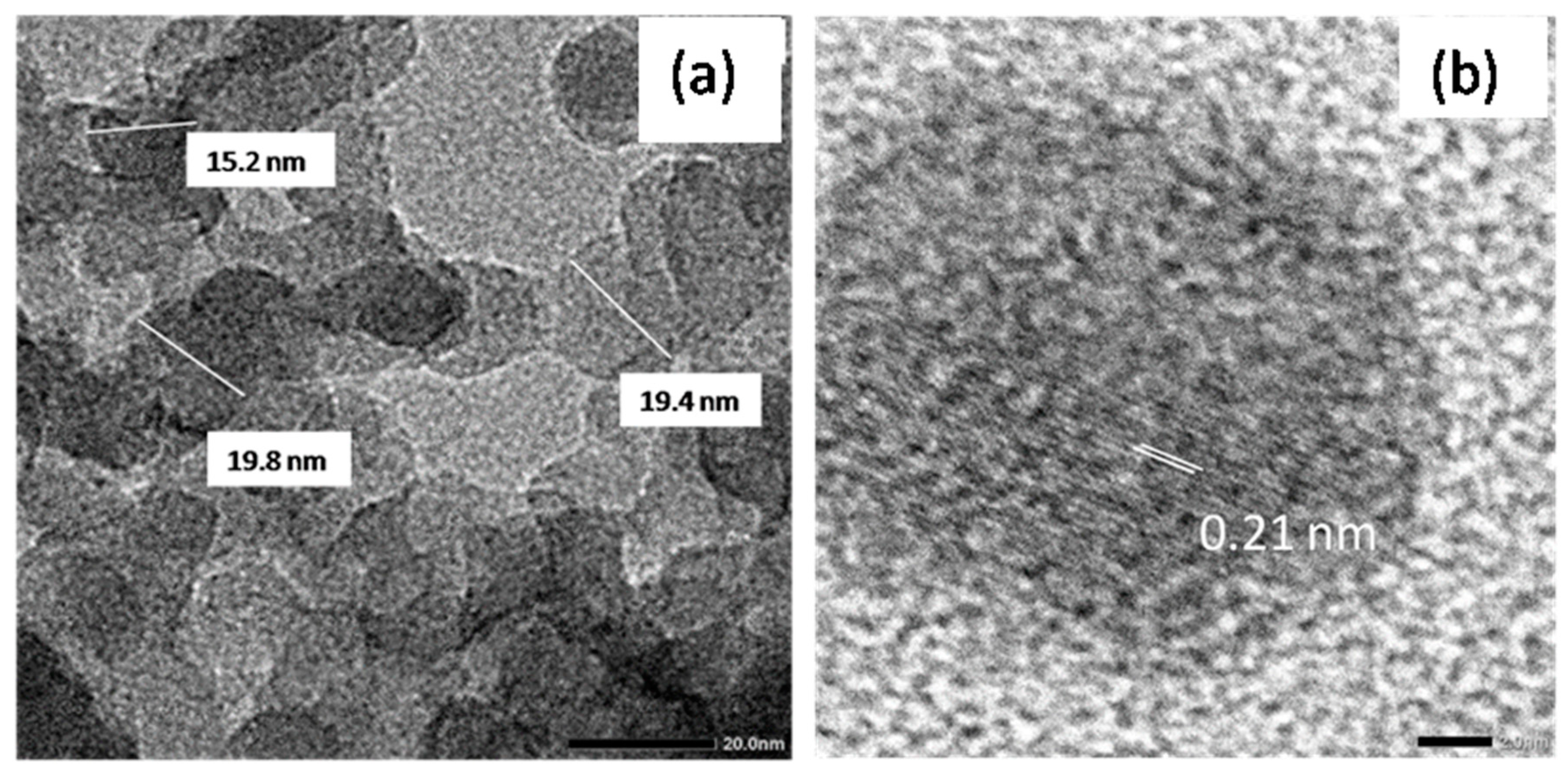 Polymers 13 00888 g004 Polymers 13 00888 g004