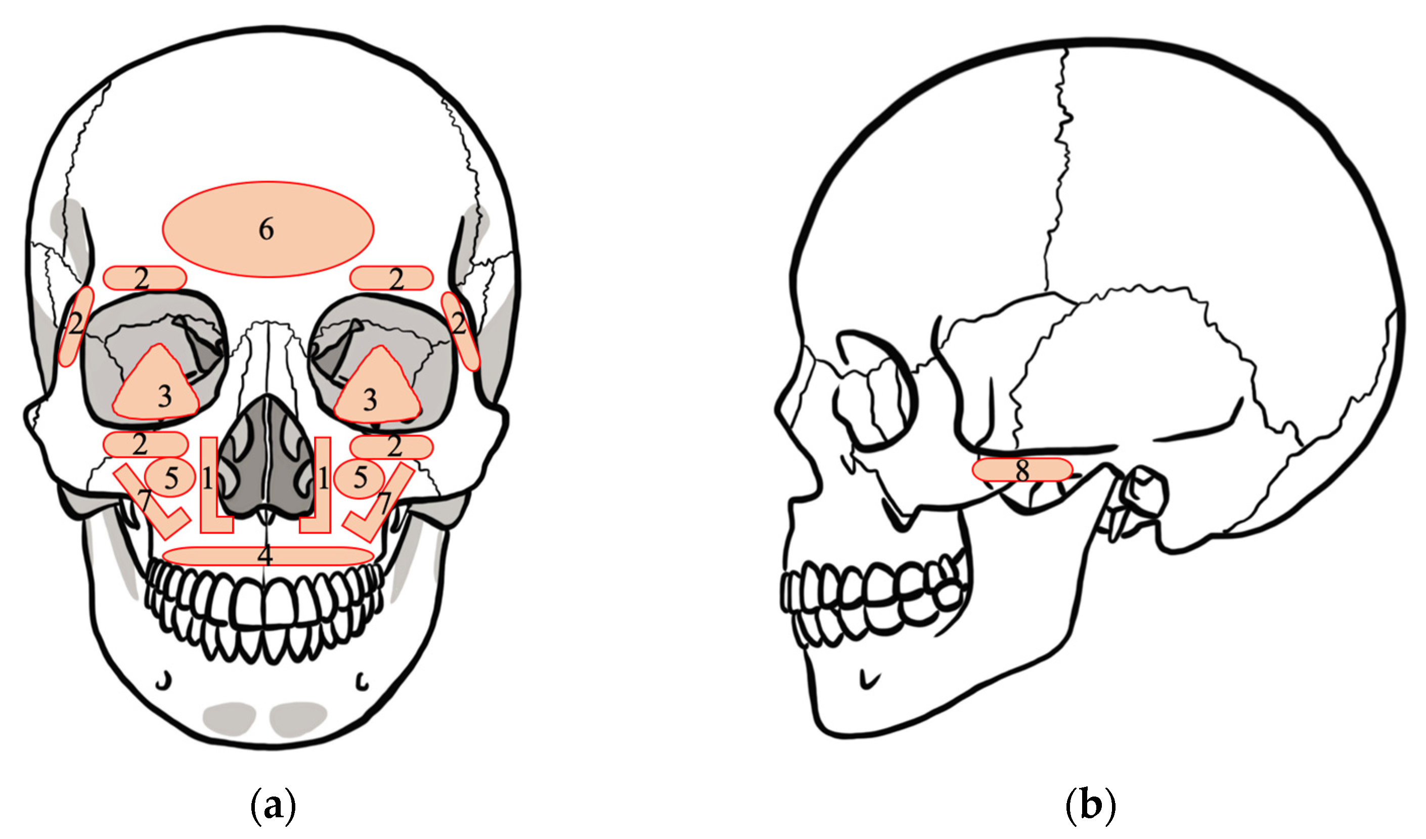 Polymers 13 00889 g003 Polymers 13 00889 g003