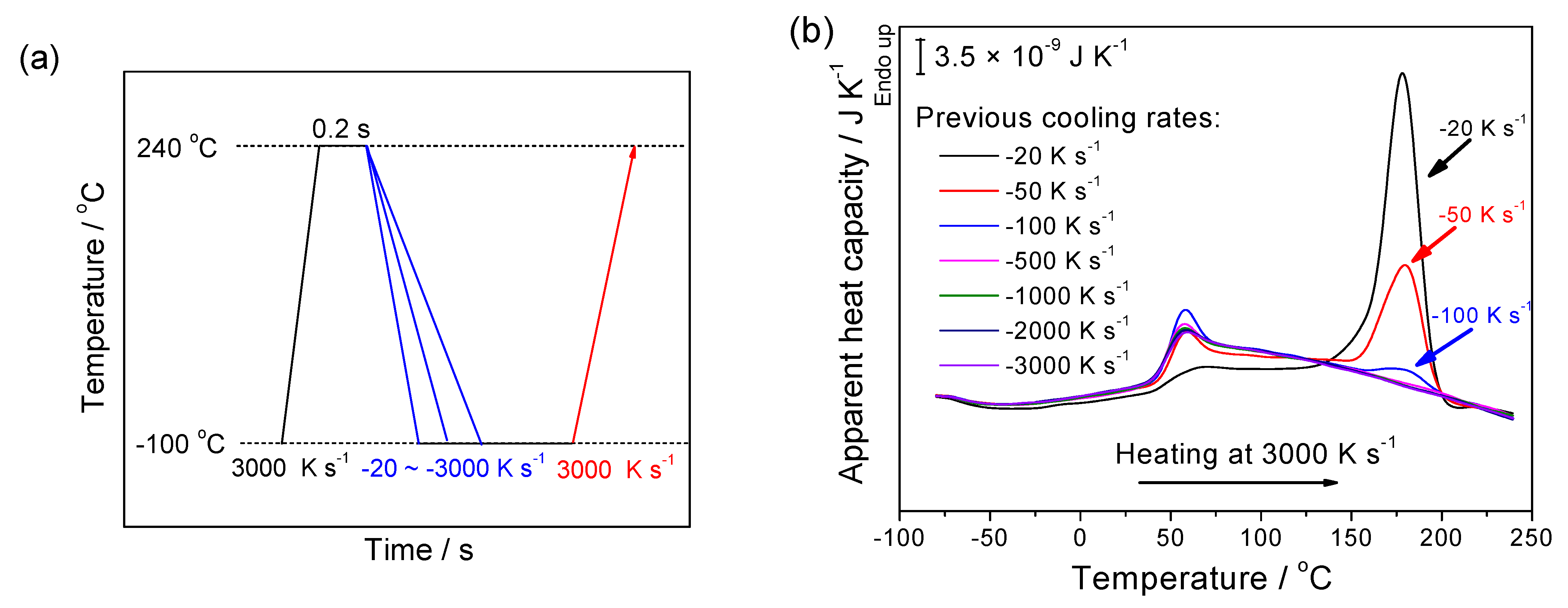 Polymers 13 00891 g002