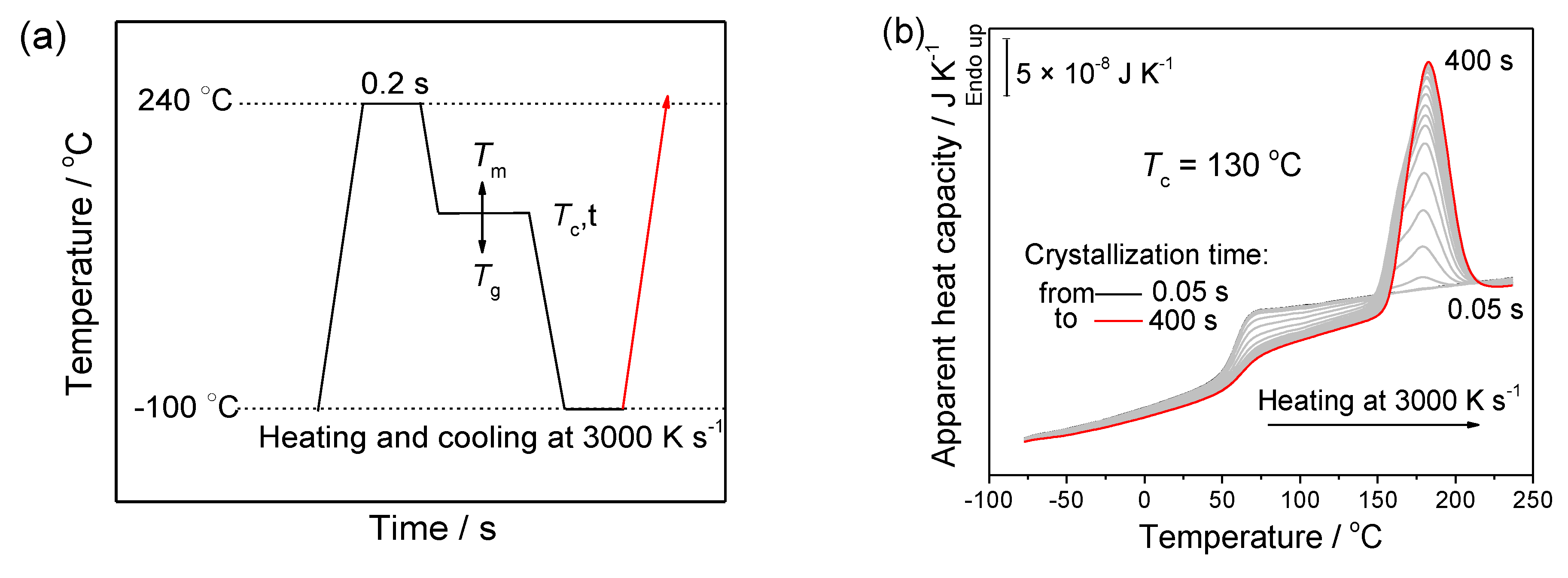 Polymers 13 00891 g004
