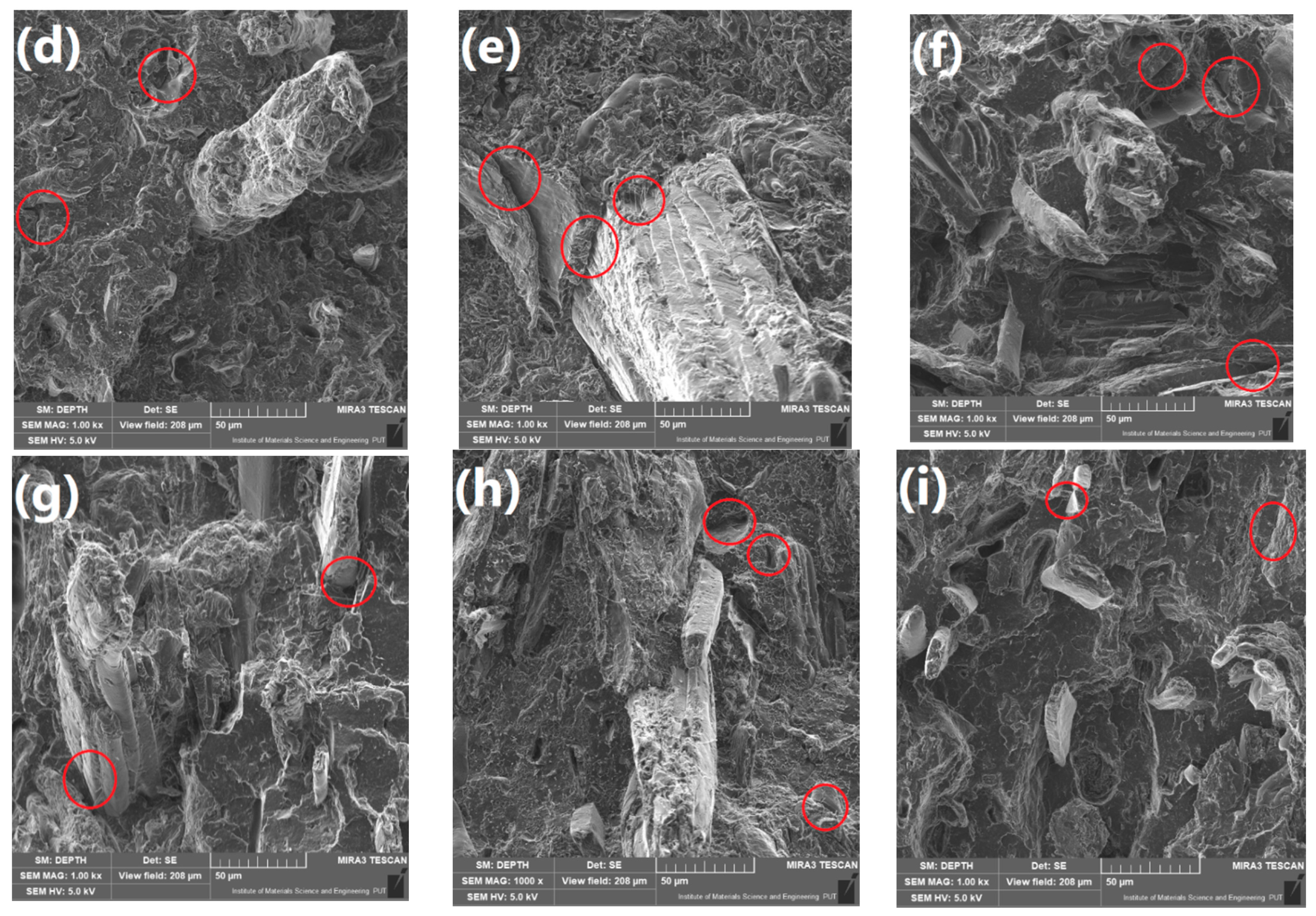 Polymers 13 00893 g004b Polymers 13 00893 g004b