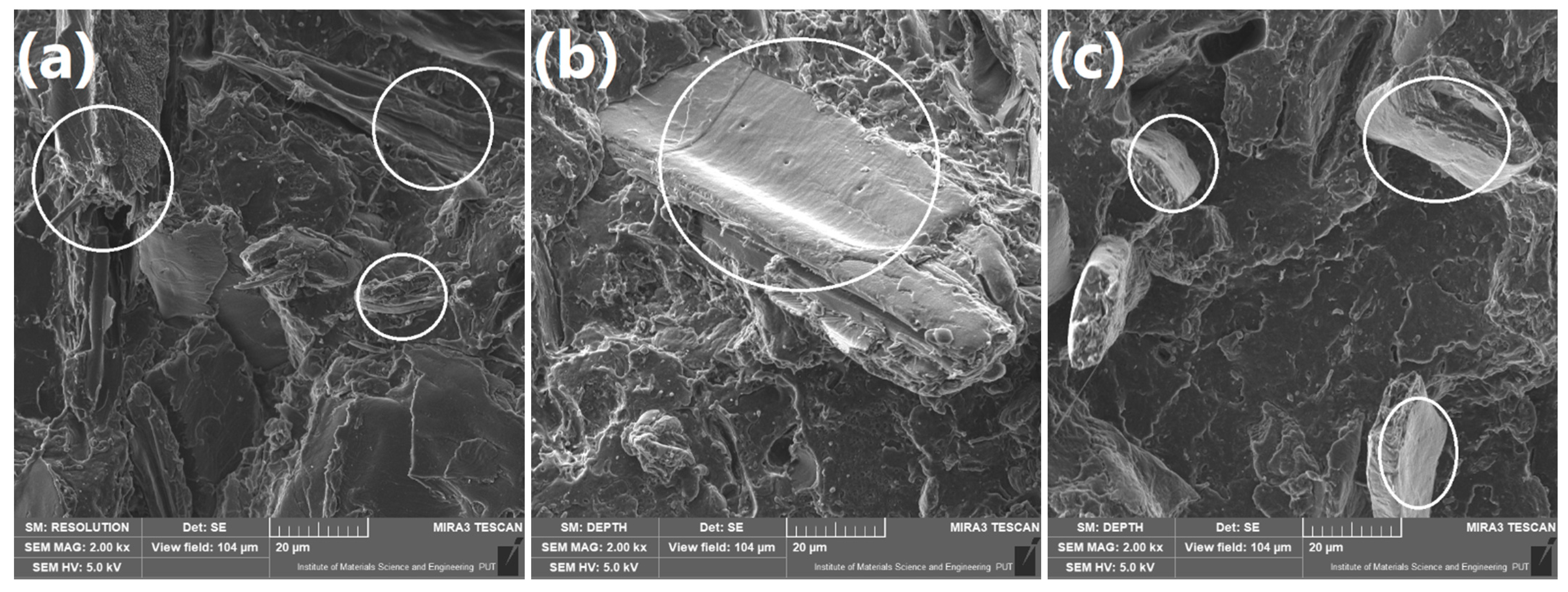 Polymers 13 00893 g005 Polymers 13 00893 g005
