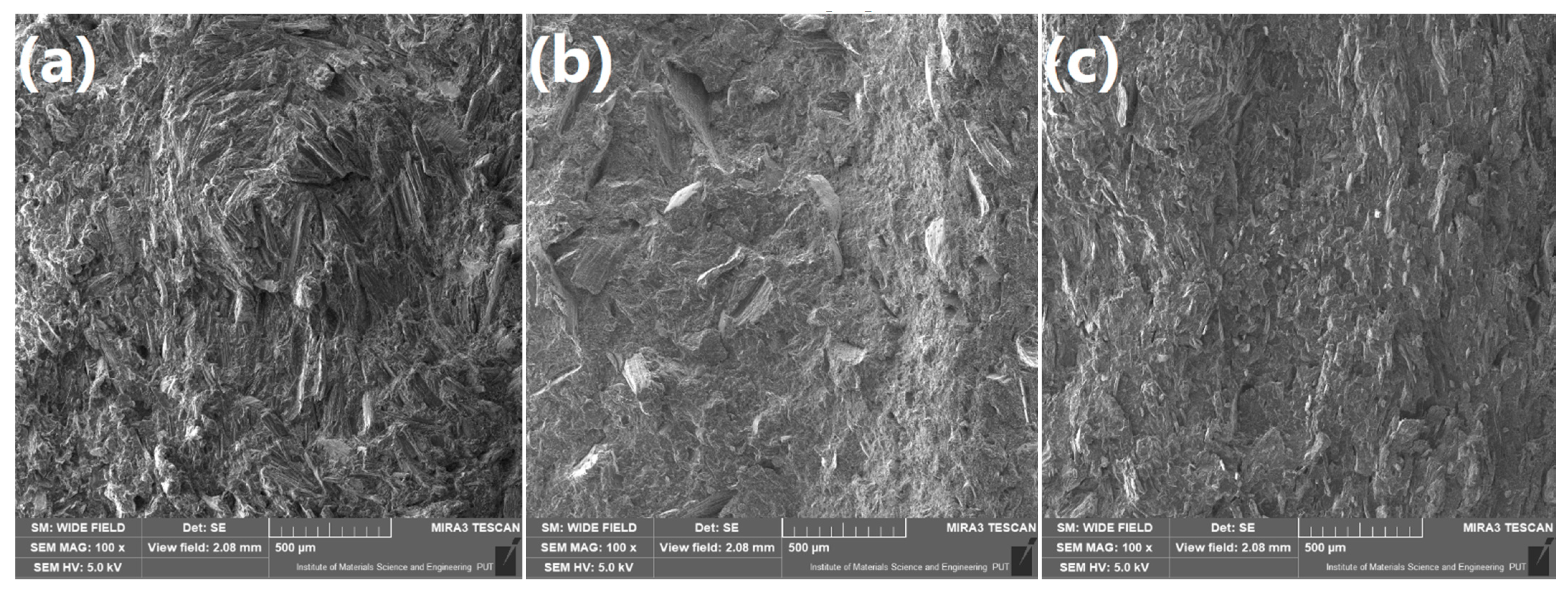 Polymers 13 00893 g006 Polymers 13 00893 g006