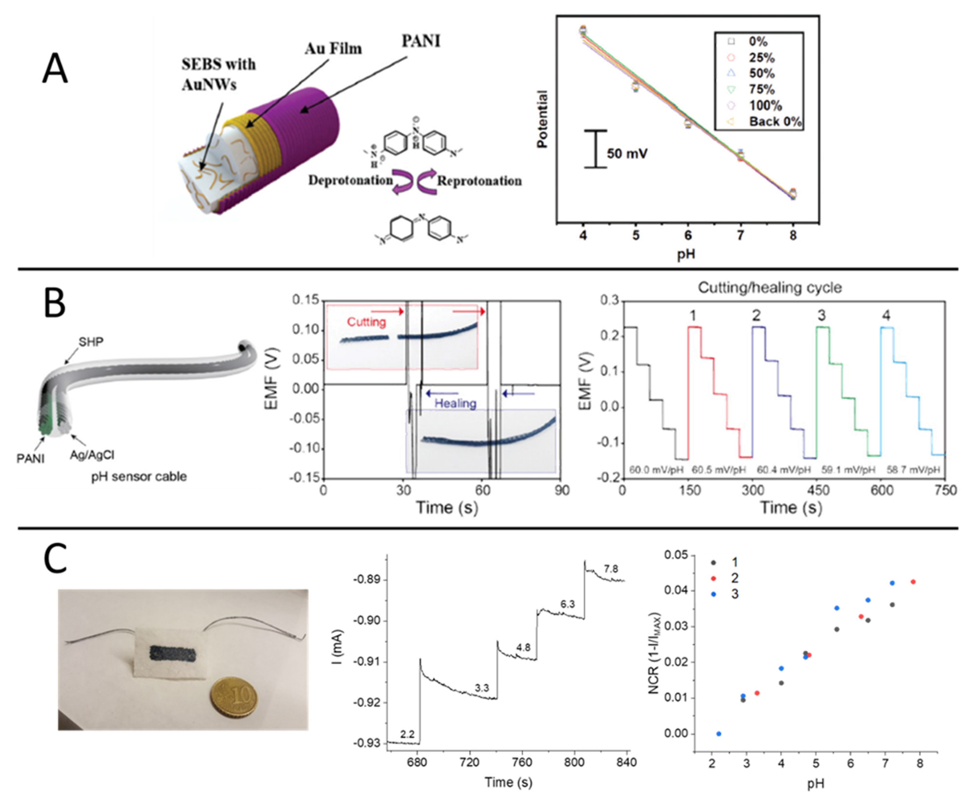 Polymers 13 00894 g004 Polymers 13 00894 g004