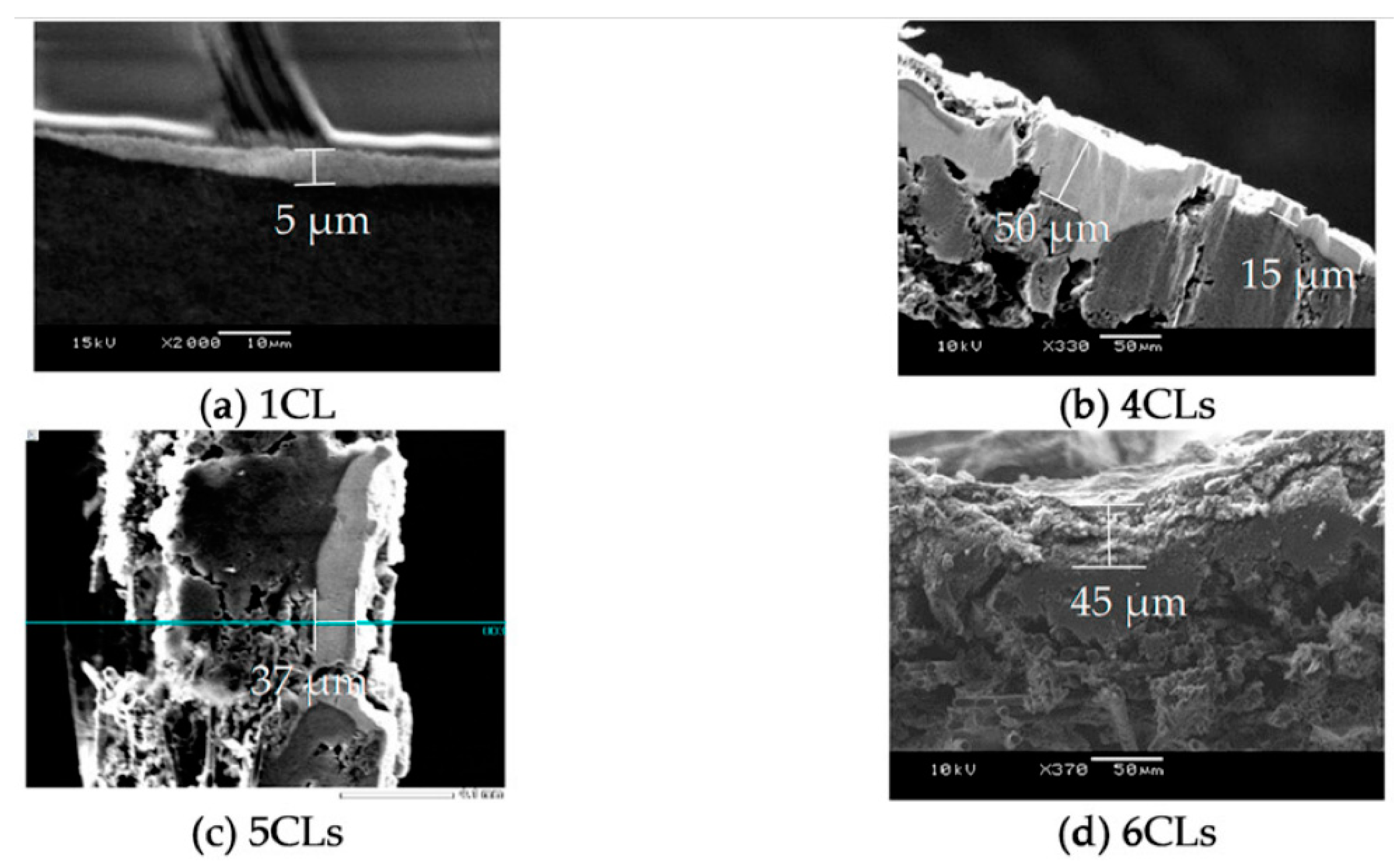 Polymers 13 00899 g003 Polymers 13 00899 g003