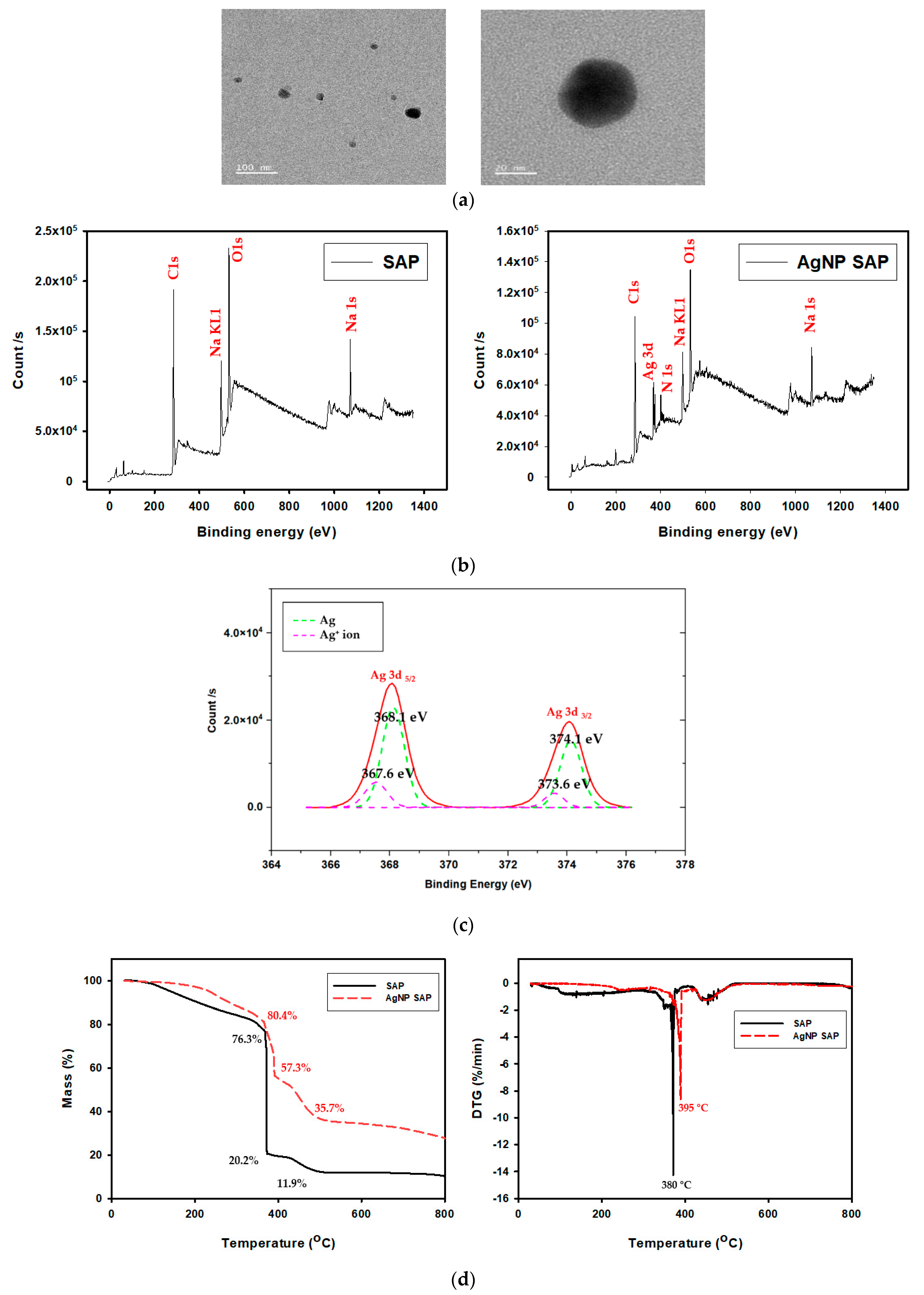 Polymers 13 00902 g003