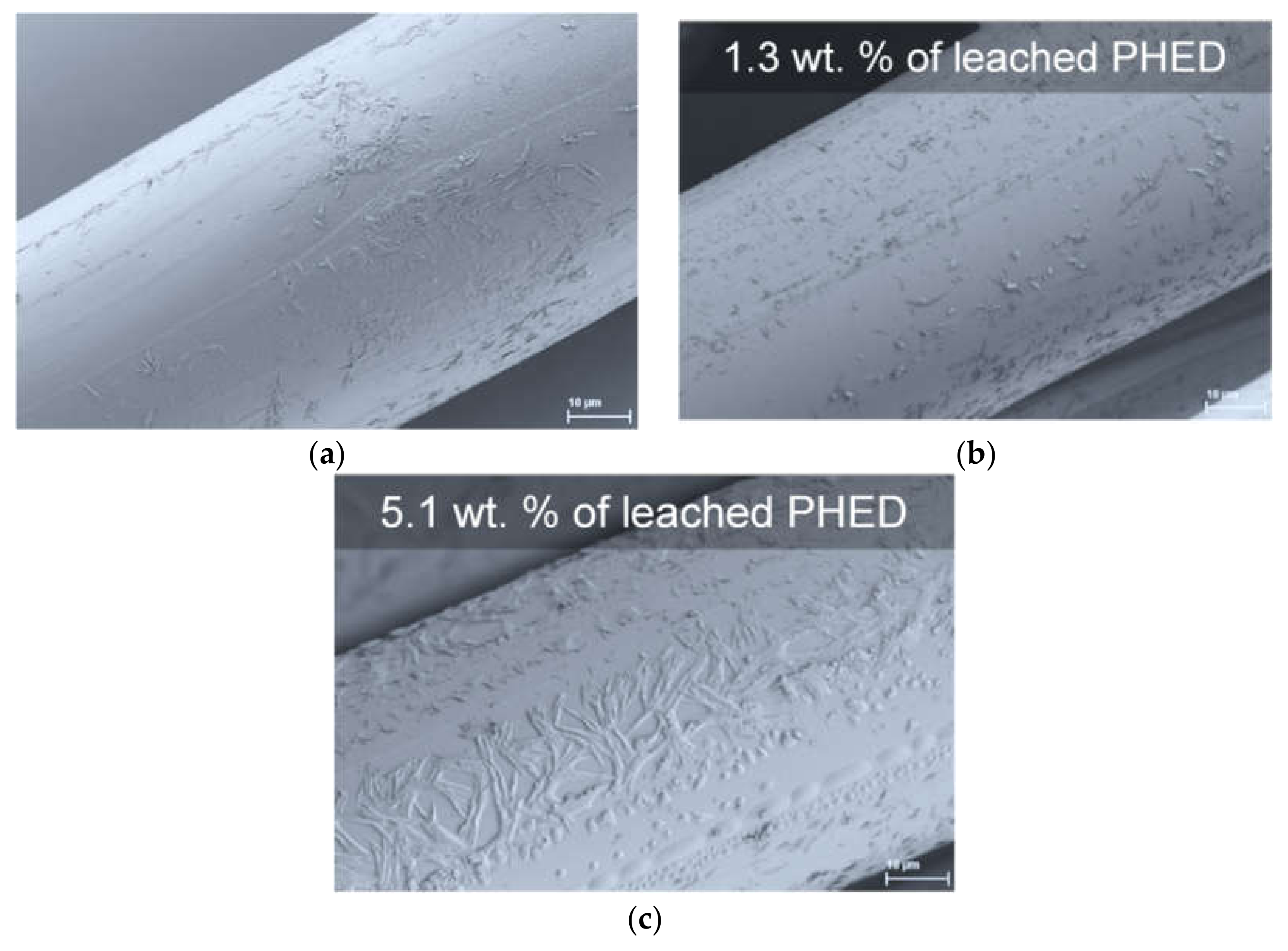 Polymers 13 00905 g010