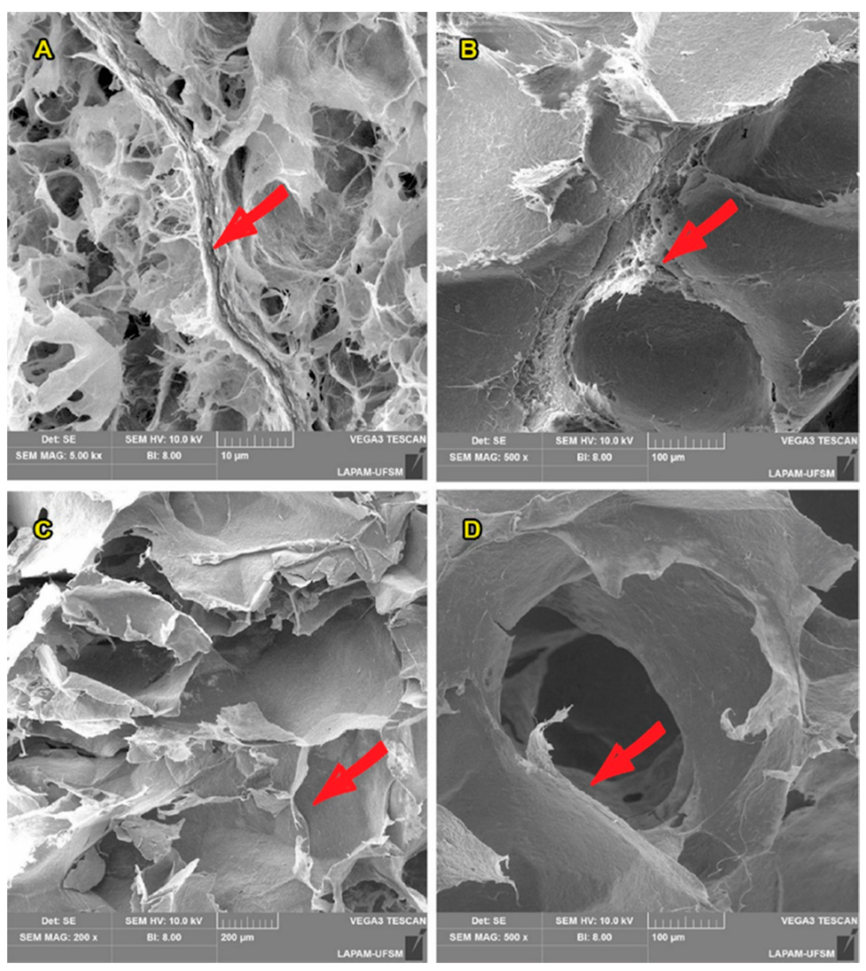 Polymers 13 00908 g004 Polymers 13 00908 g004