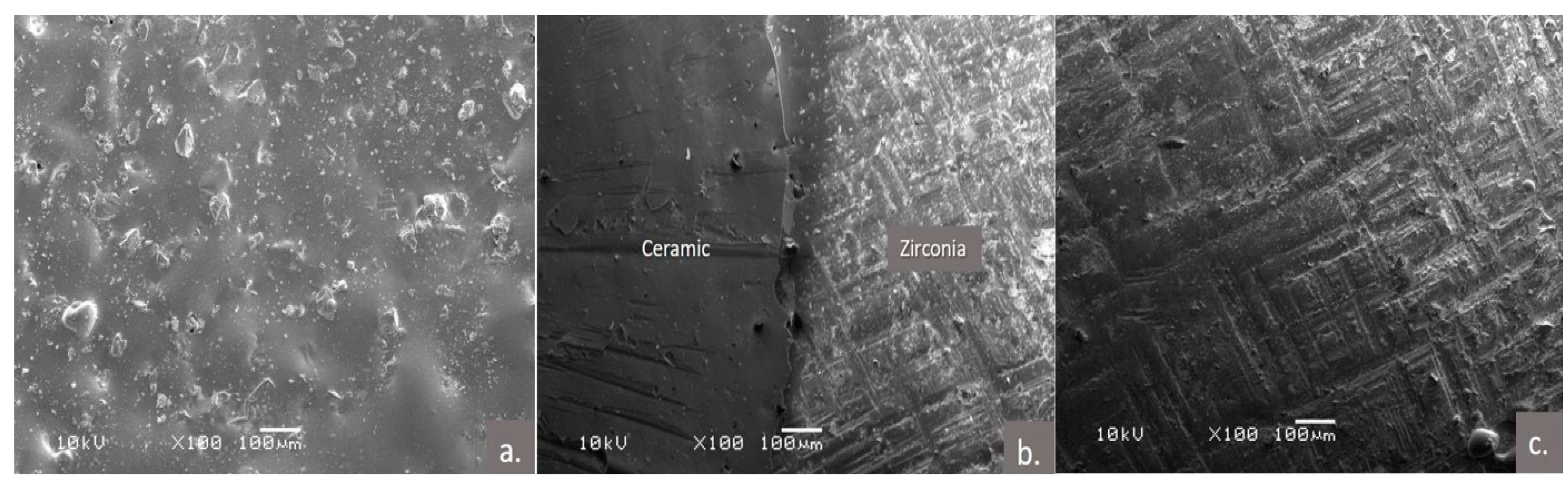 Polymers 13 00910 g003 Polymers 13 00910 g003