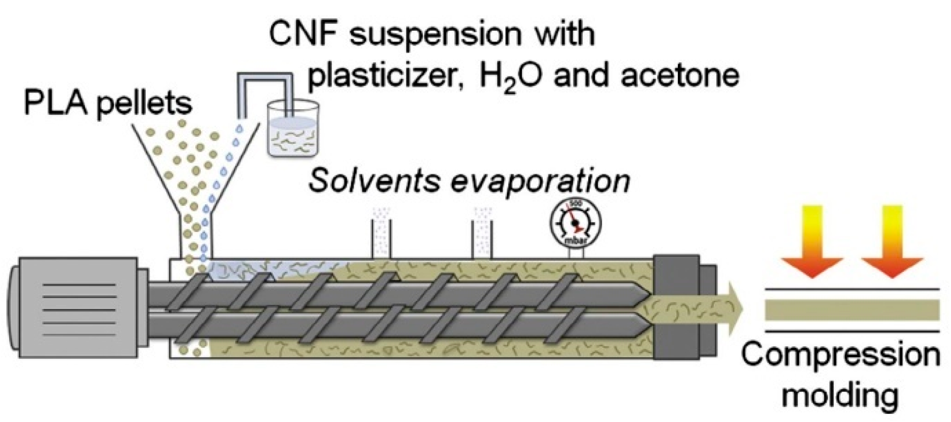Polymers 13 00911 g004