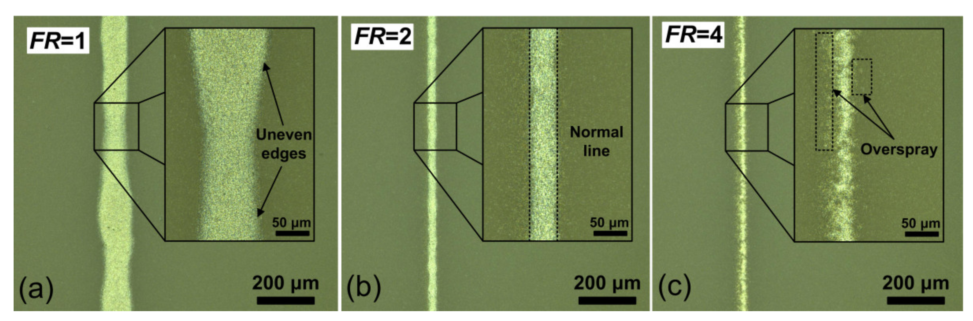 Polymers 13 00918 g003