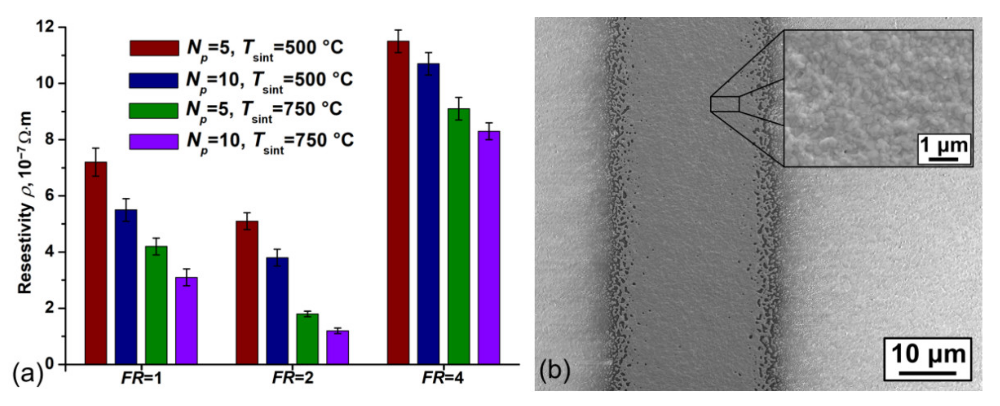 Polymers 13 00918 g006
