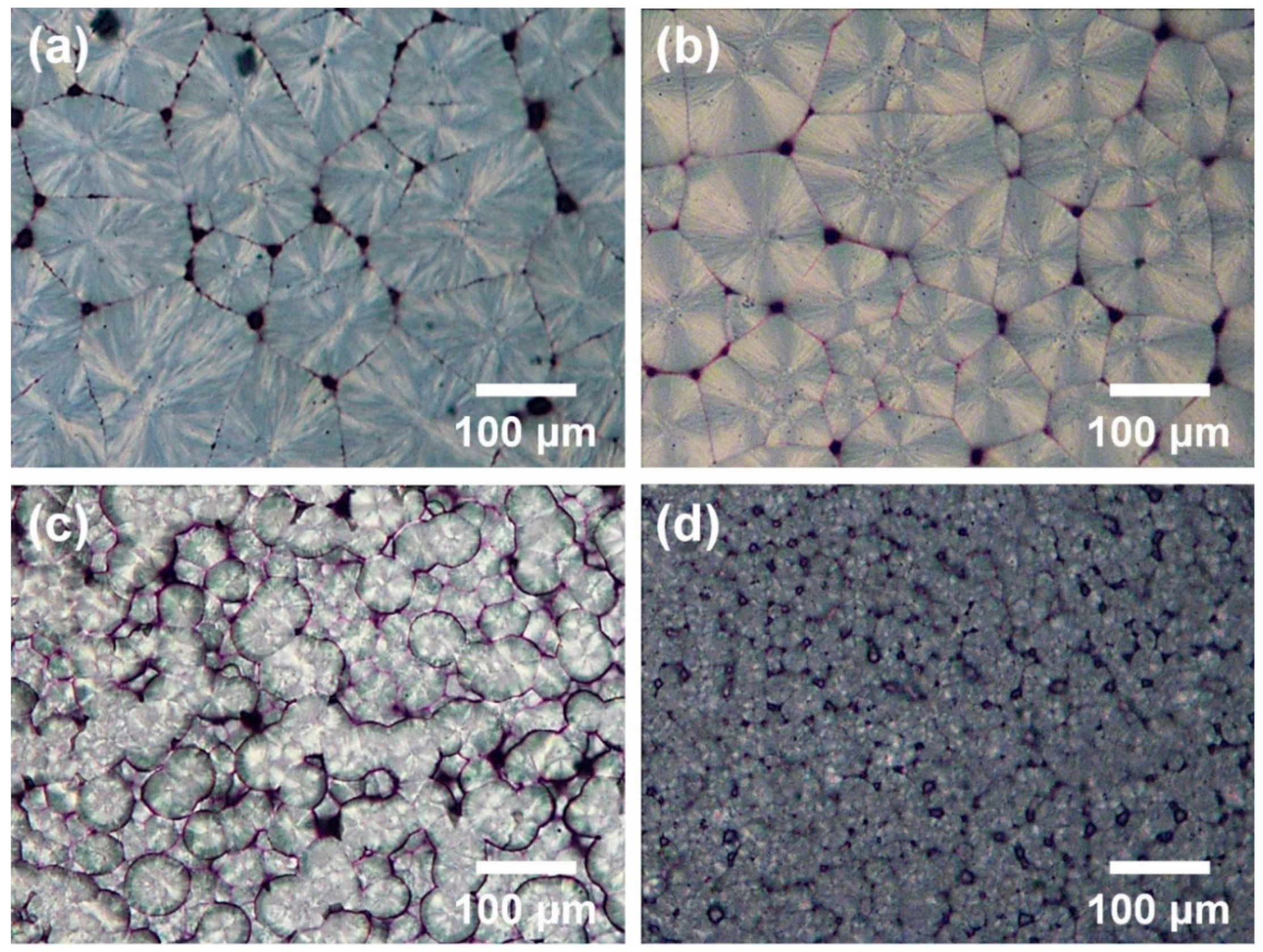 Polymers 13 00919 g005 550