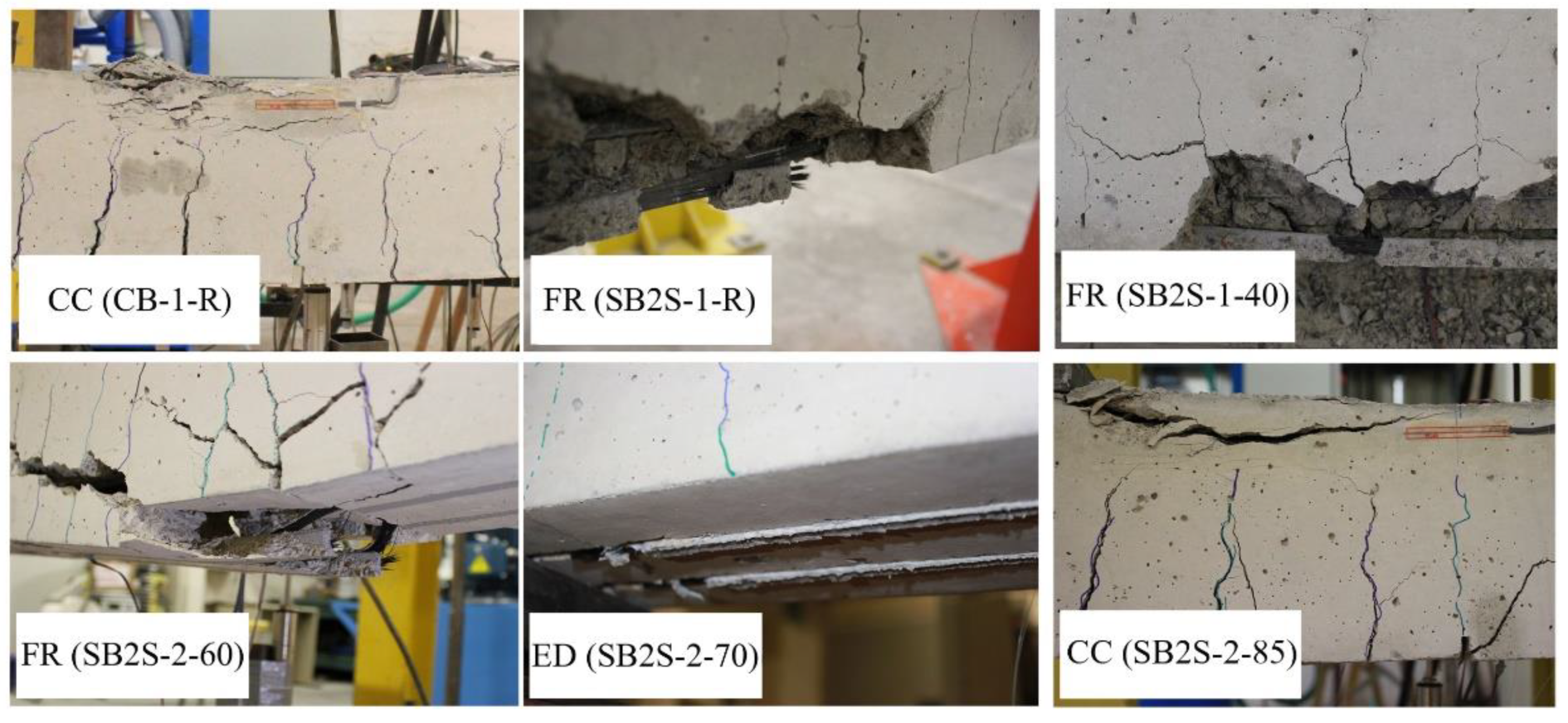 Polymers 13 00920 g012