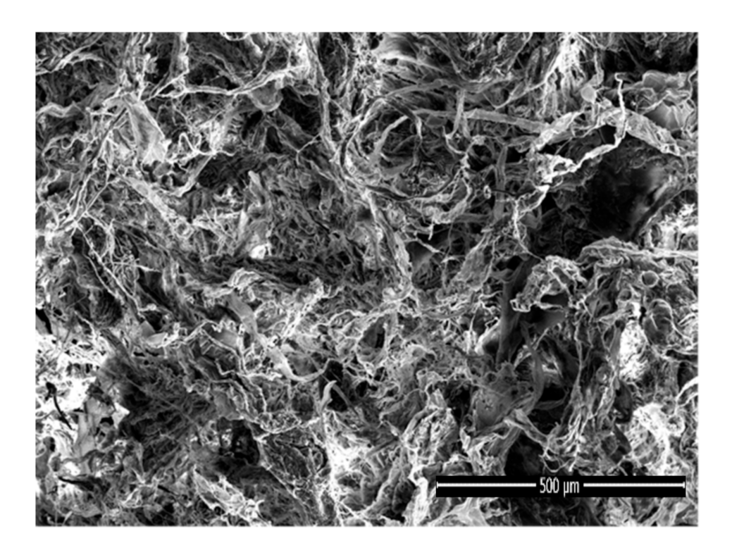 Polymers 13 00921 g005 Polymers 13 00921 g005