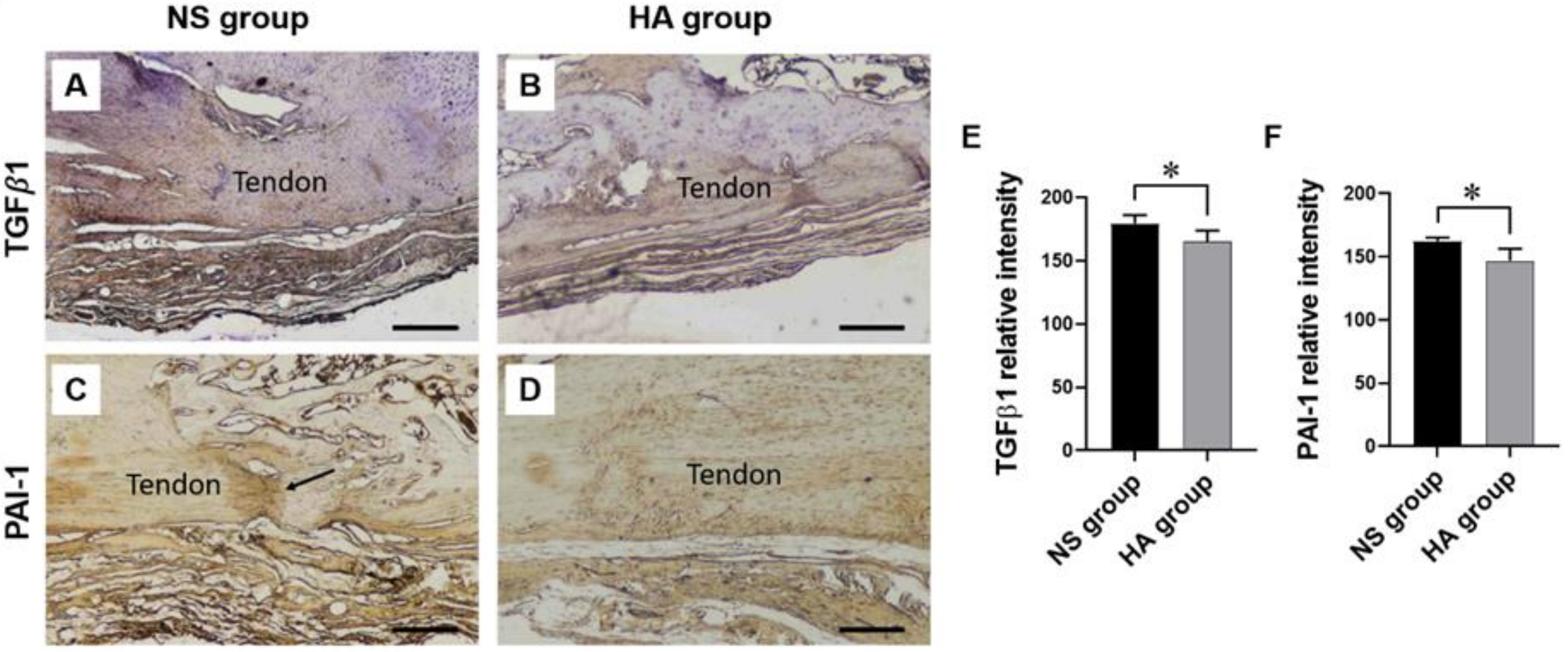 Polymers 13 00928 g003 Polymers 13 00928 g003