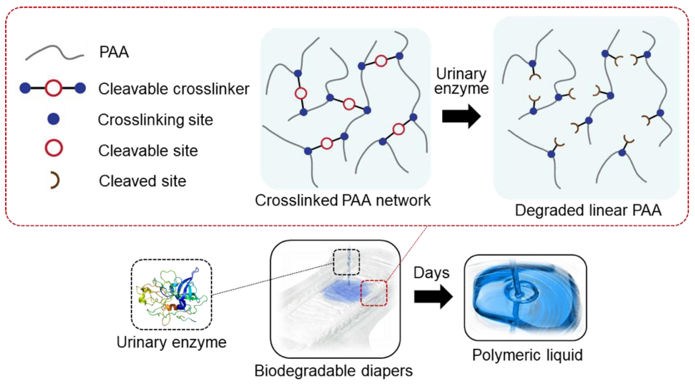 Polymers 13 00929 g001 Polymers 13 00929 g001