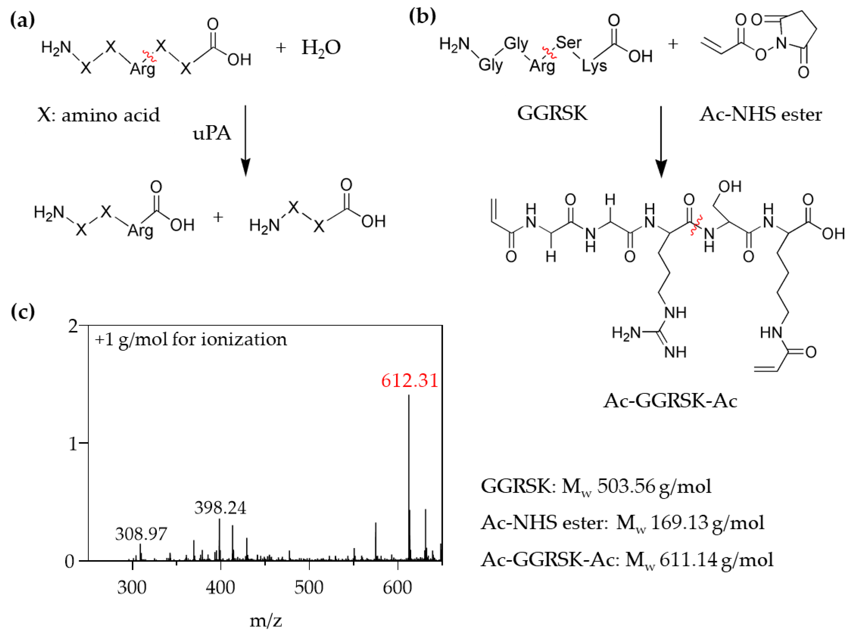 Polymers 13 00929 g004 Polymers 13 00929 g004