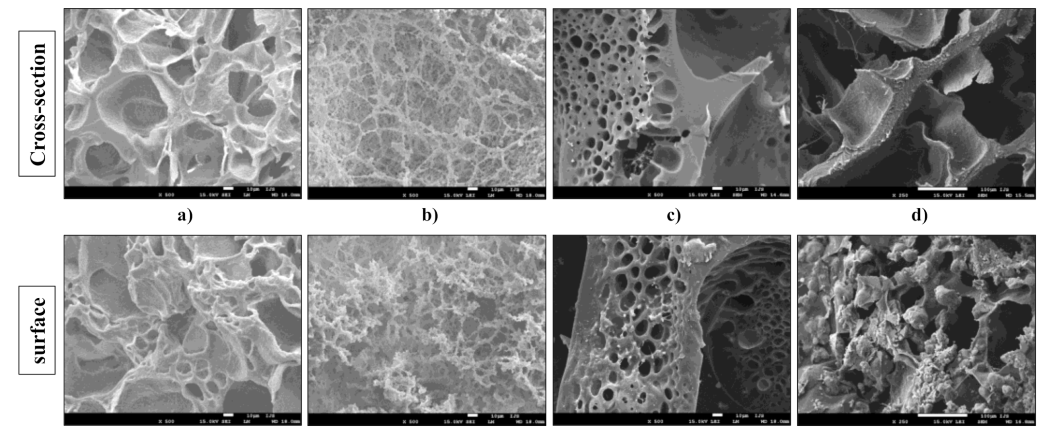 Polymers 13 00932 g002 Polymers 13 00932 g002