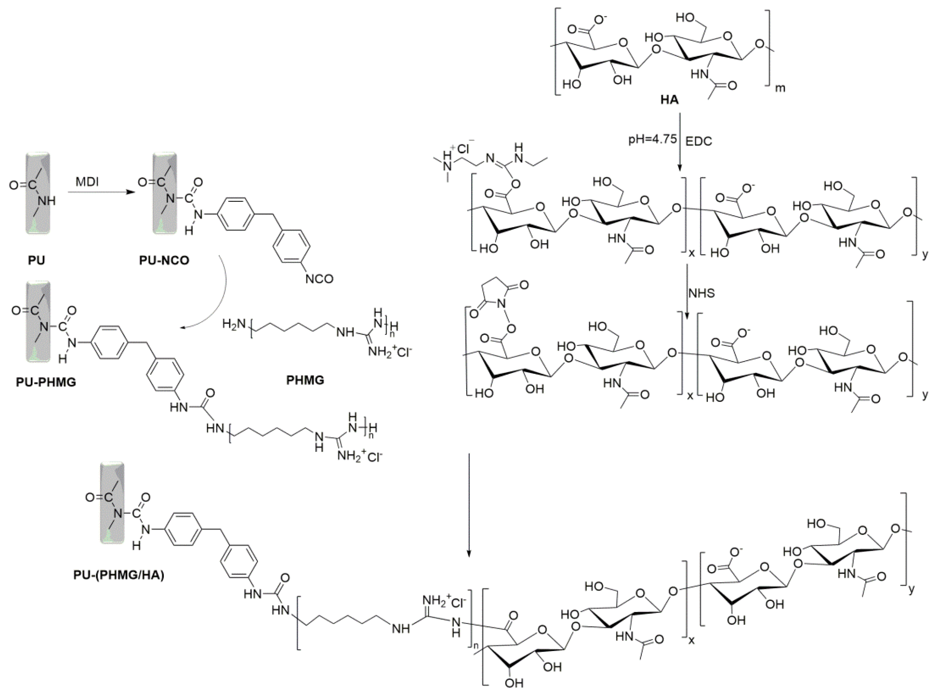 Polymers 13 00934 g001