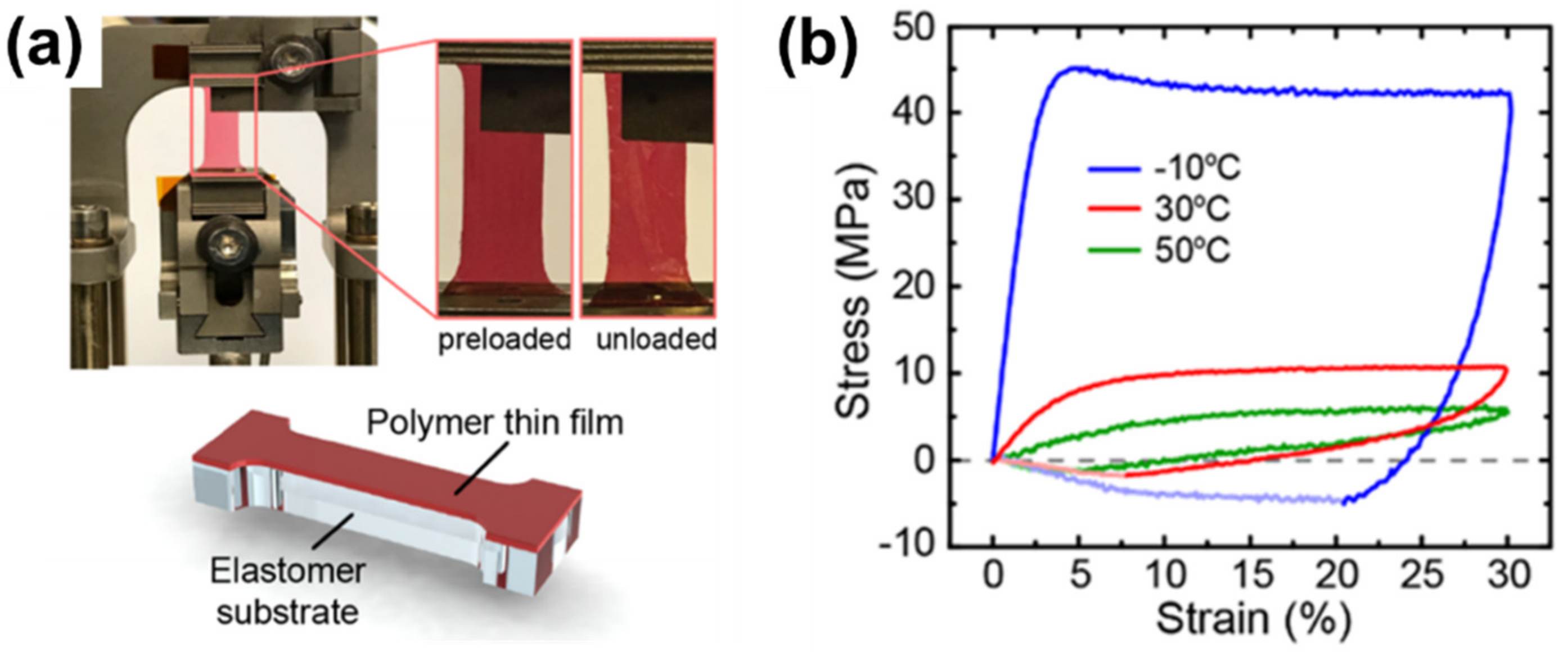 Polymers 13 00935 g010 Polymers 13 00935 g010