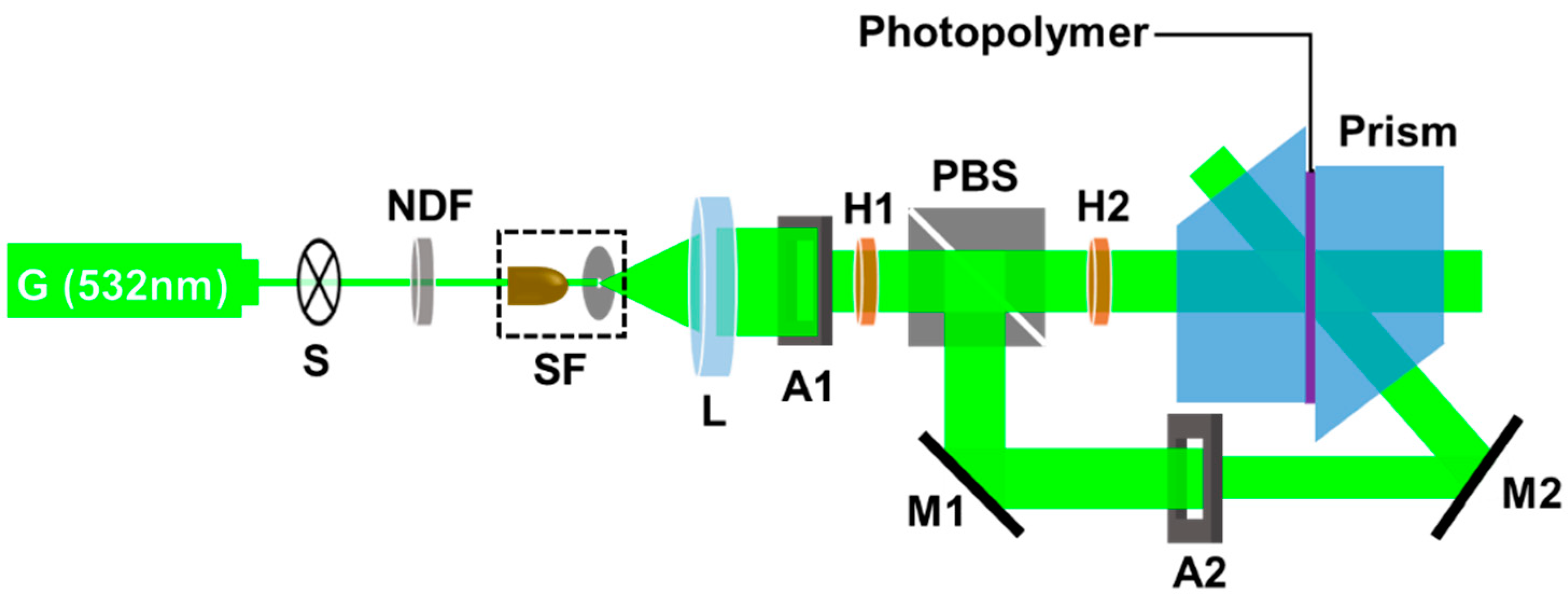 Polymers 13 00936 g001